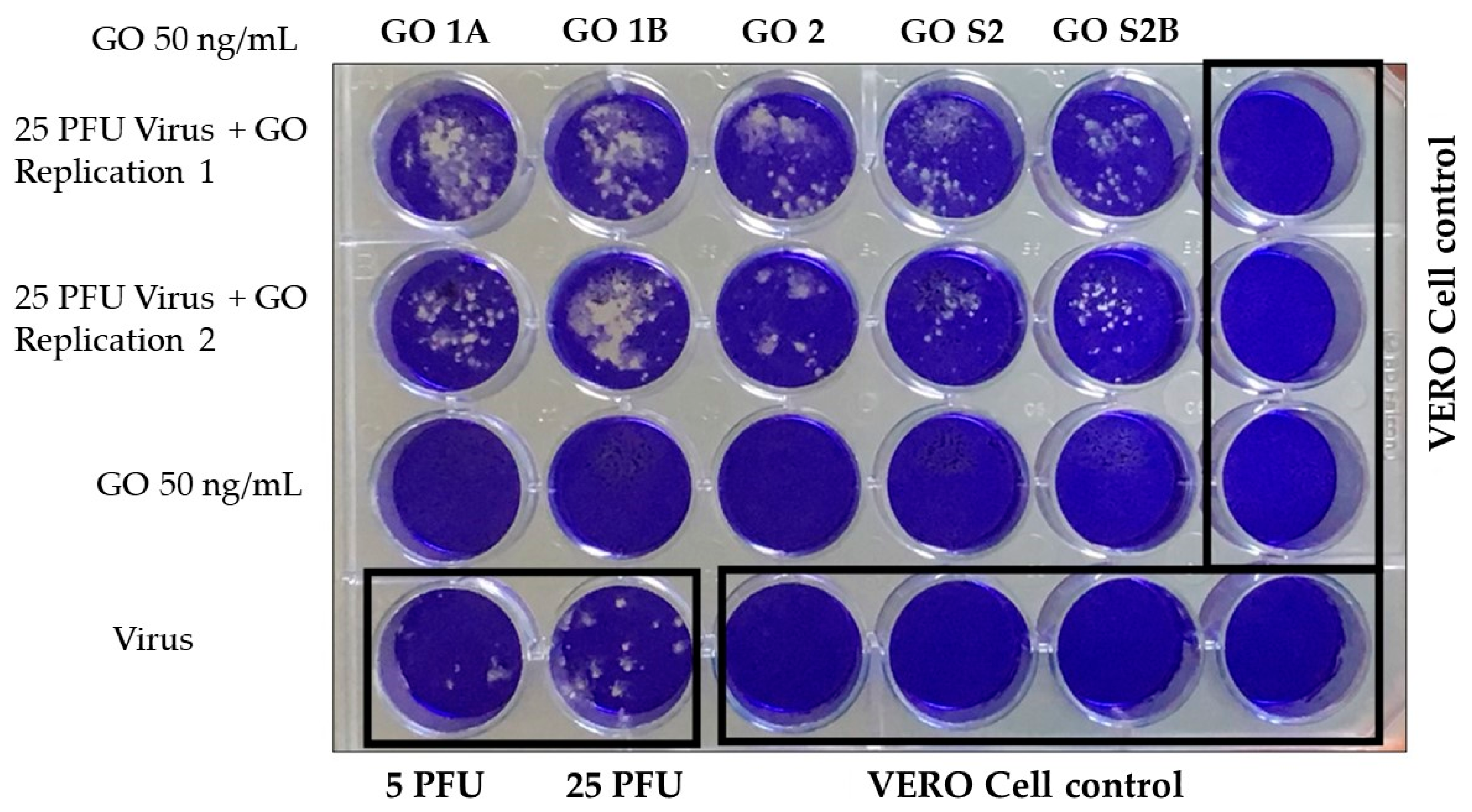 Nanomaterials 13 00343 g004 Nanomaterials 13 00343 g004