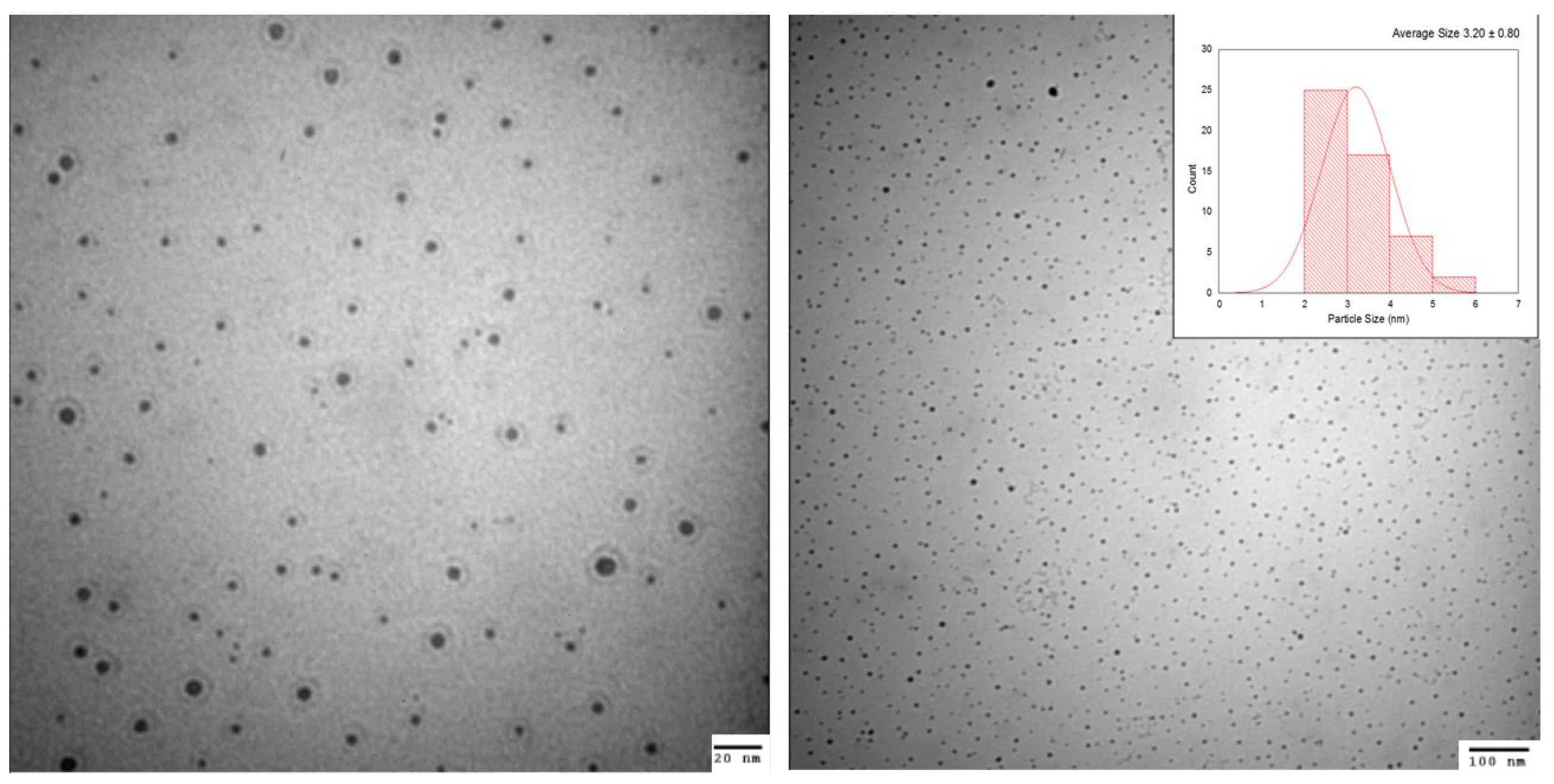 Nanomaterials 13 00348 g001 Nanomaterials 13 00348 g001