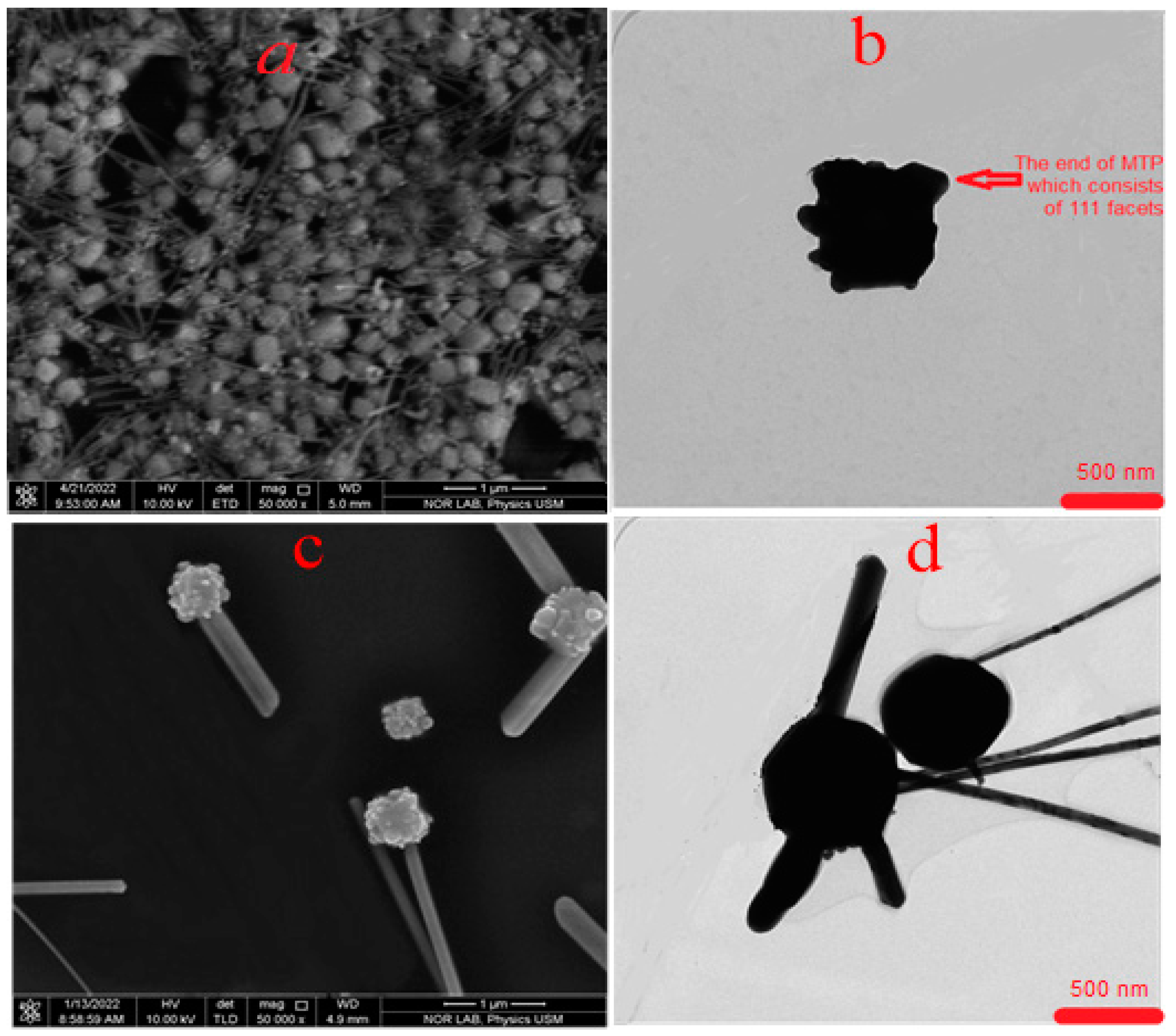 Nanomaterials 13 00353 g006