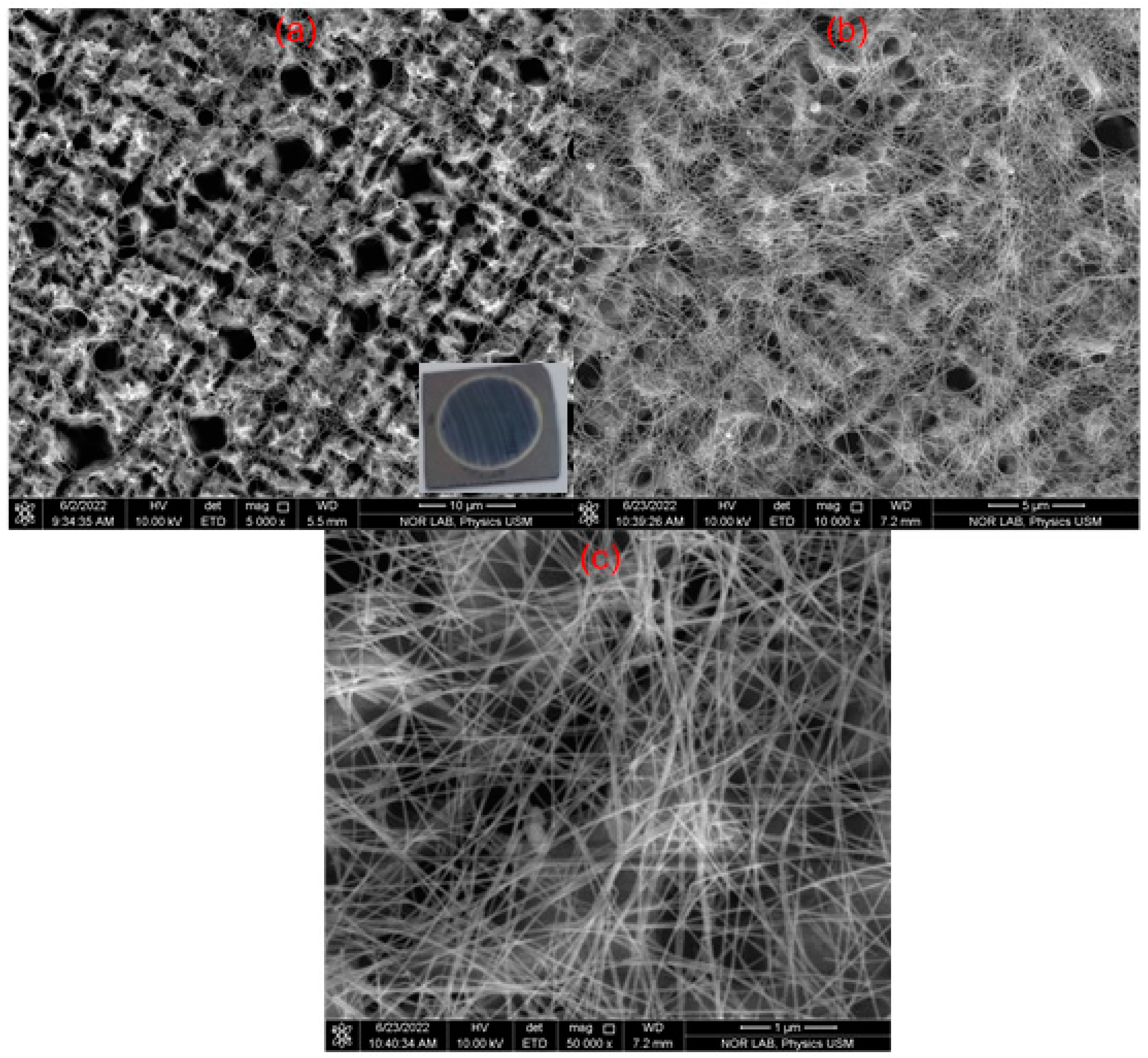 Nanomaterials 13 00353 g011