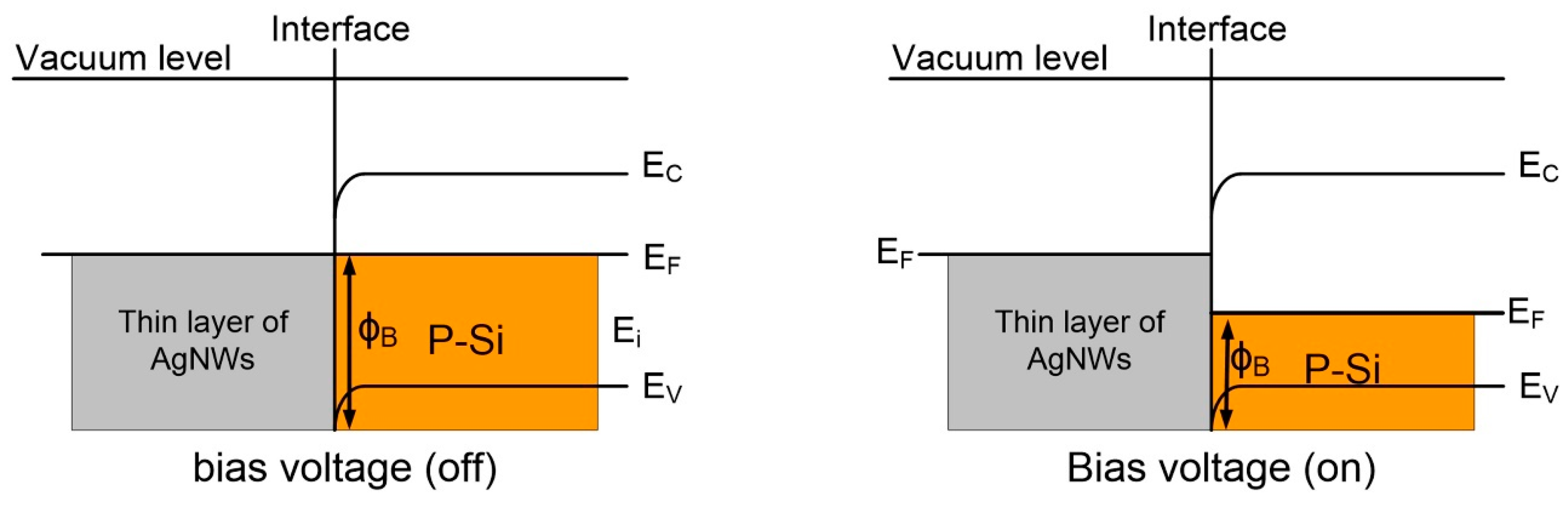 Nanomaterials 13 00353 g016