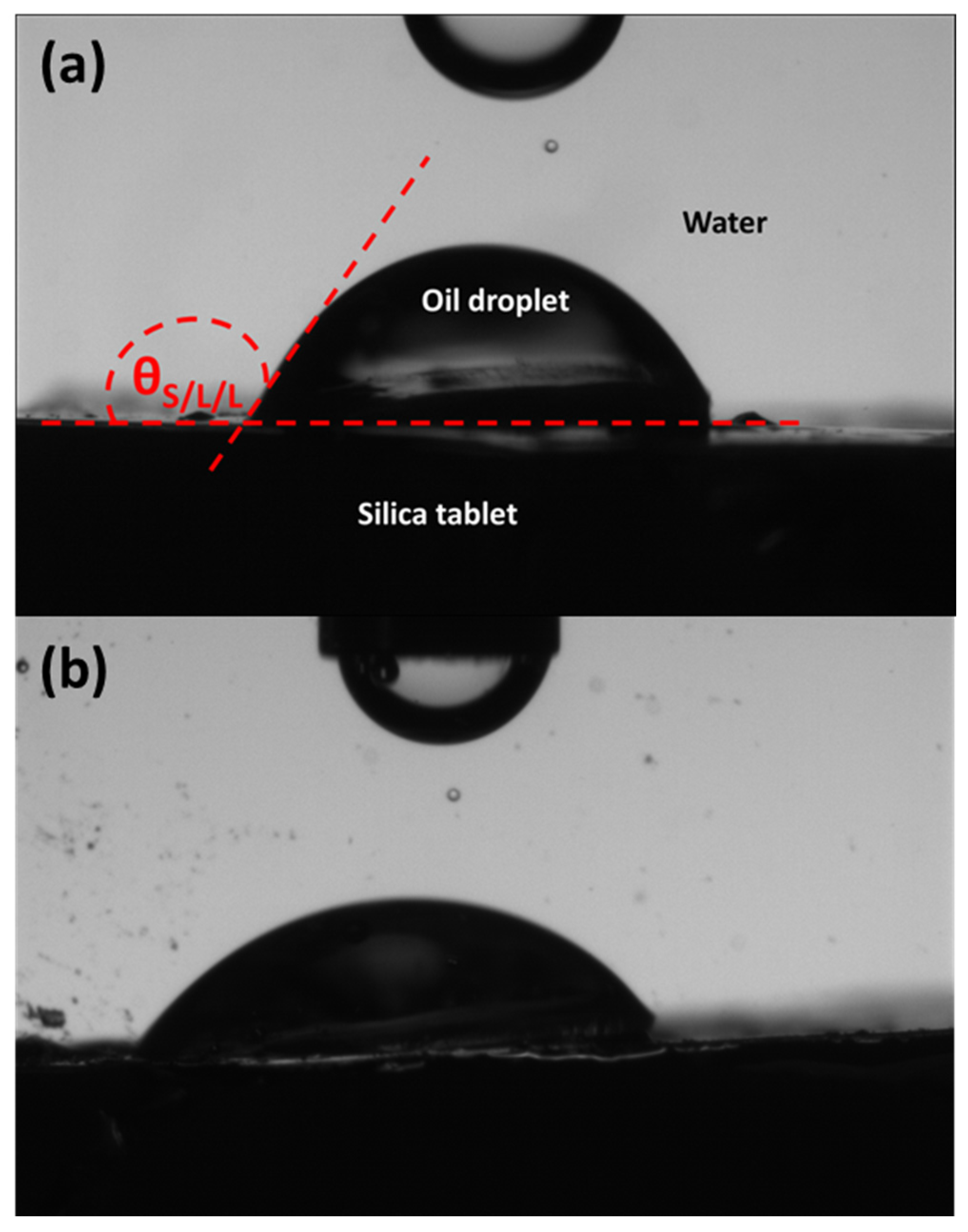 Nanomaterials 13 00371 g001