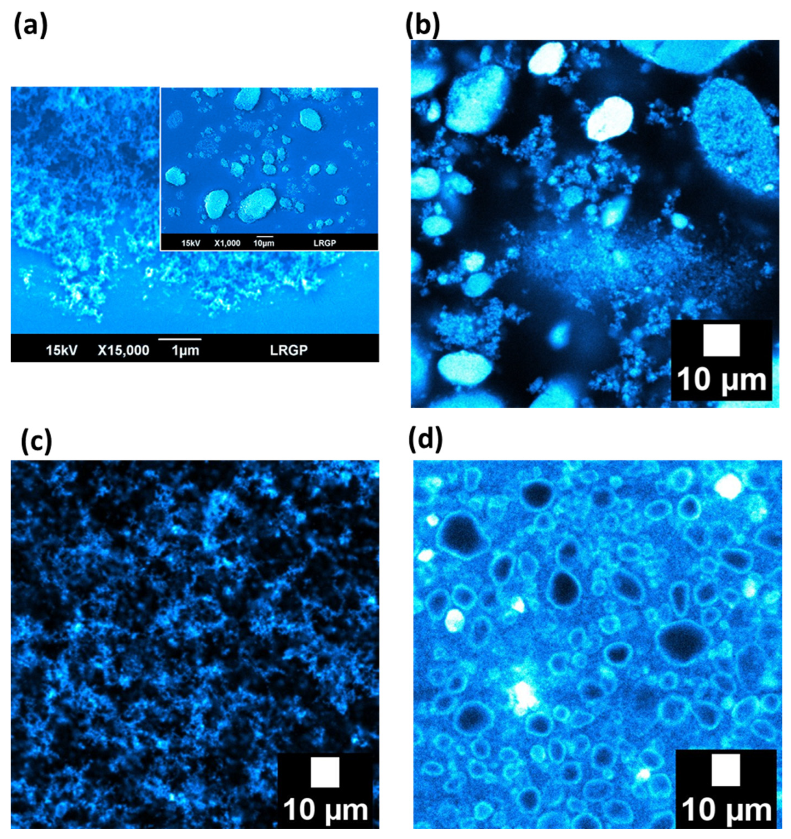 Nanomaterials 13 00371 g002