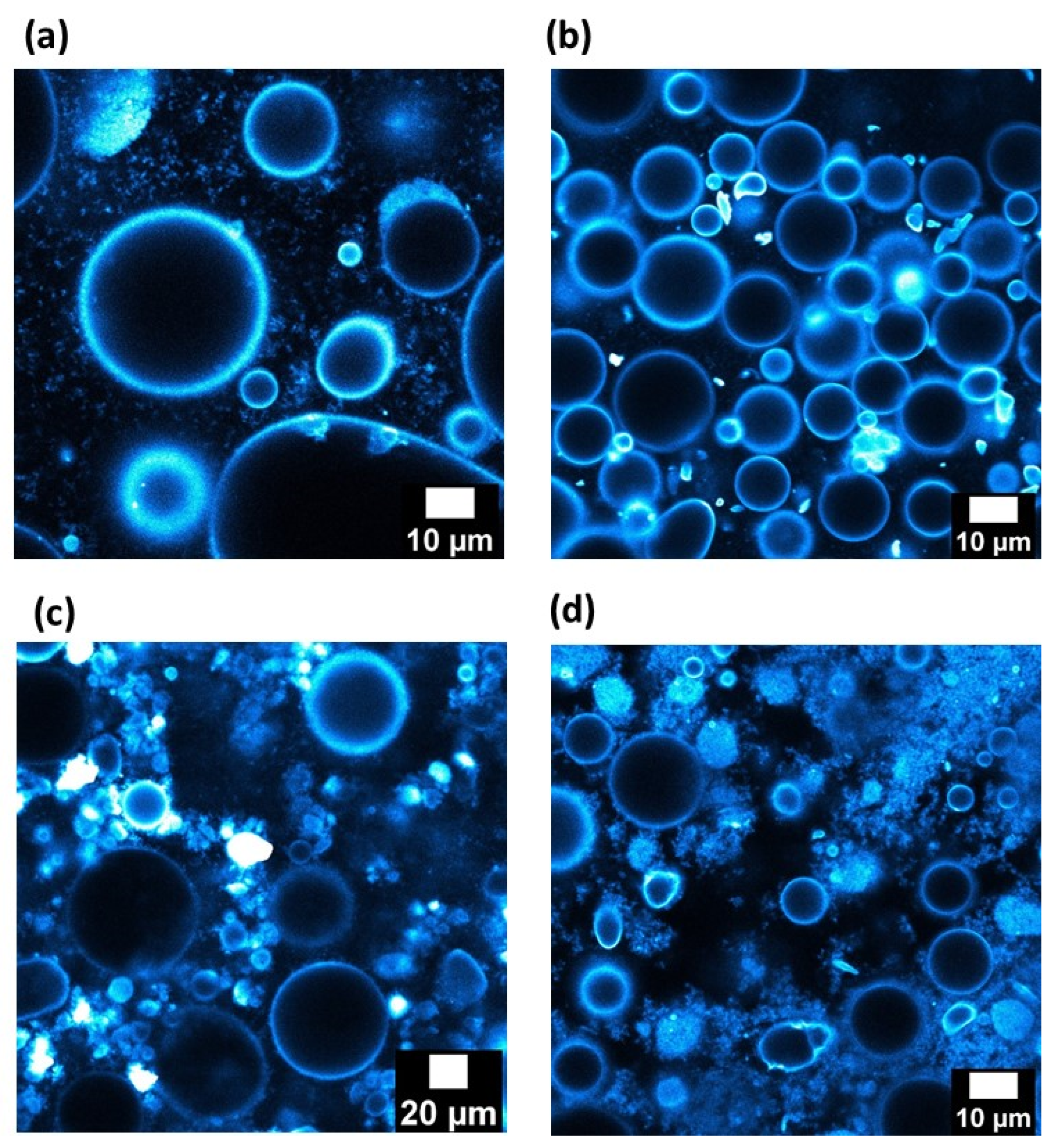 Nanomaterials 13 00371 g007