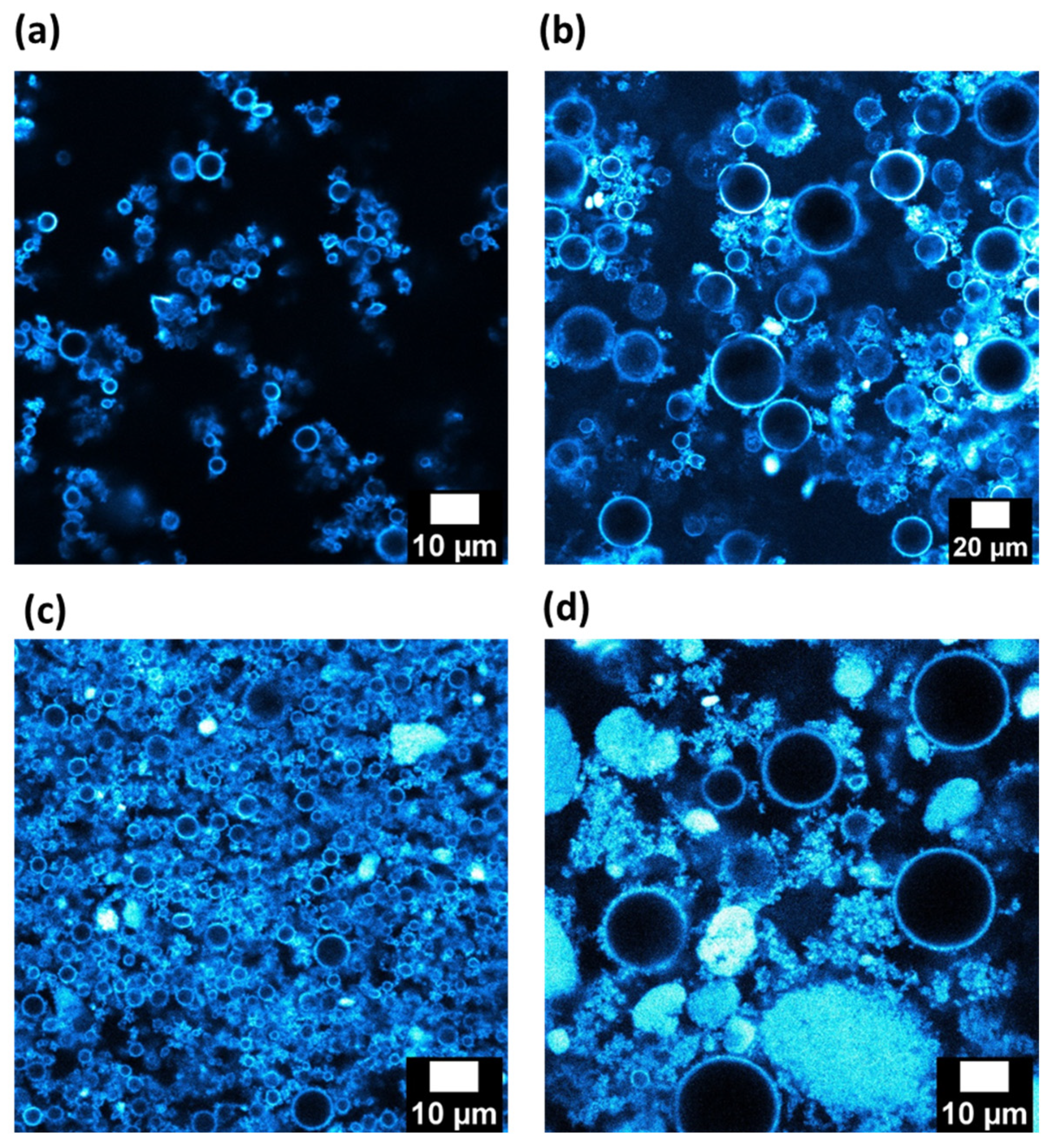 Nanomaterials 13 00371 g009