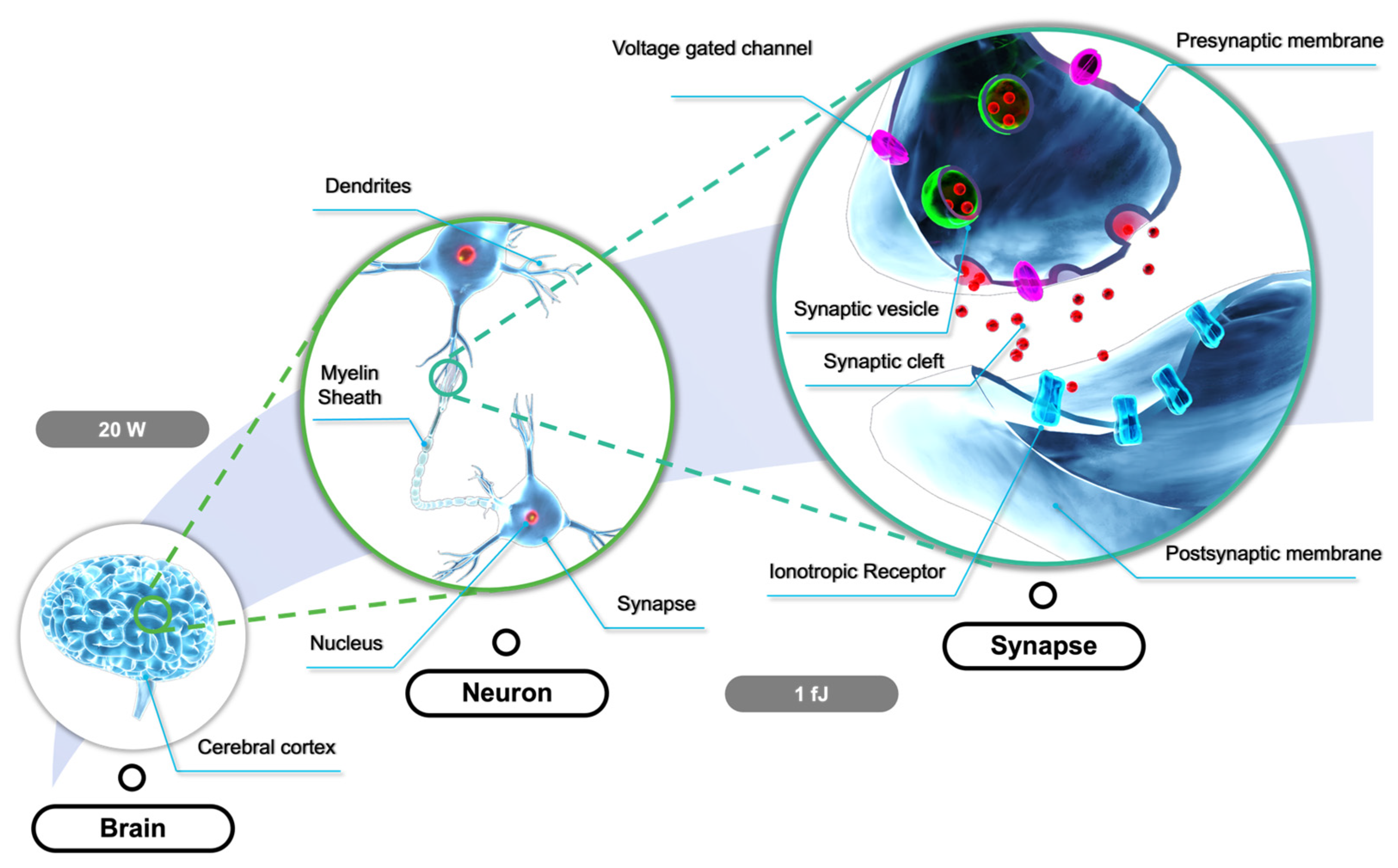 Nanomaterials 13 00373 g005