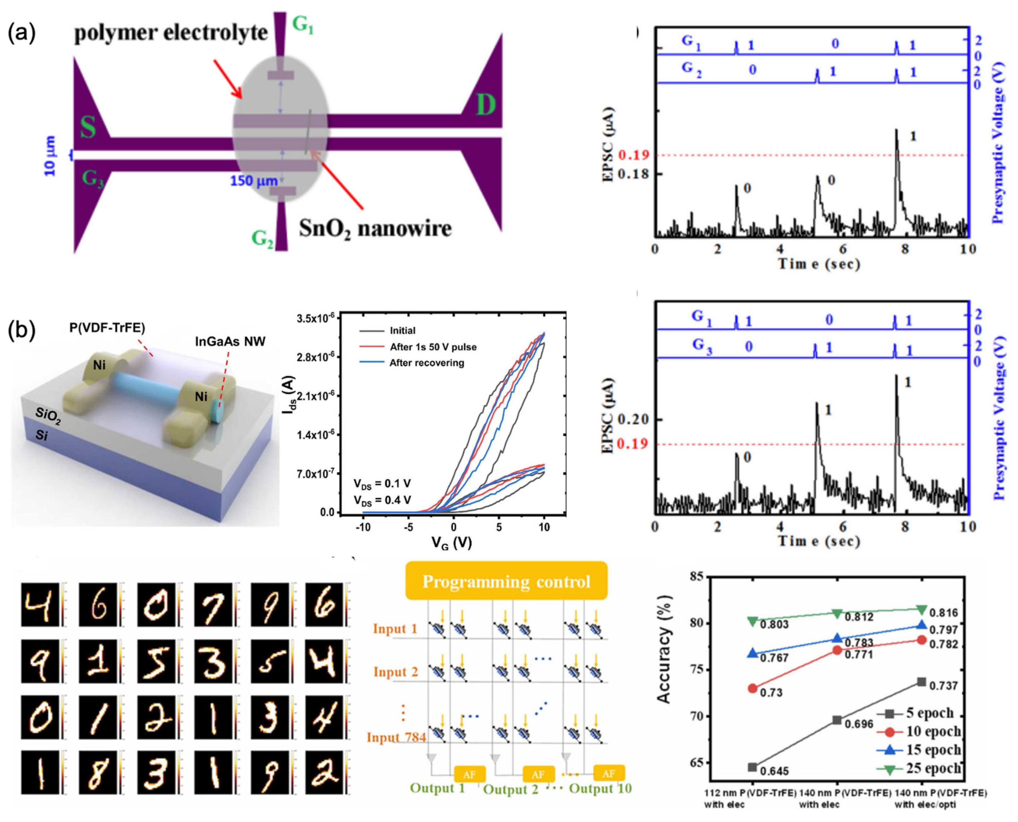 Nanomaterials 13 00373 g009