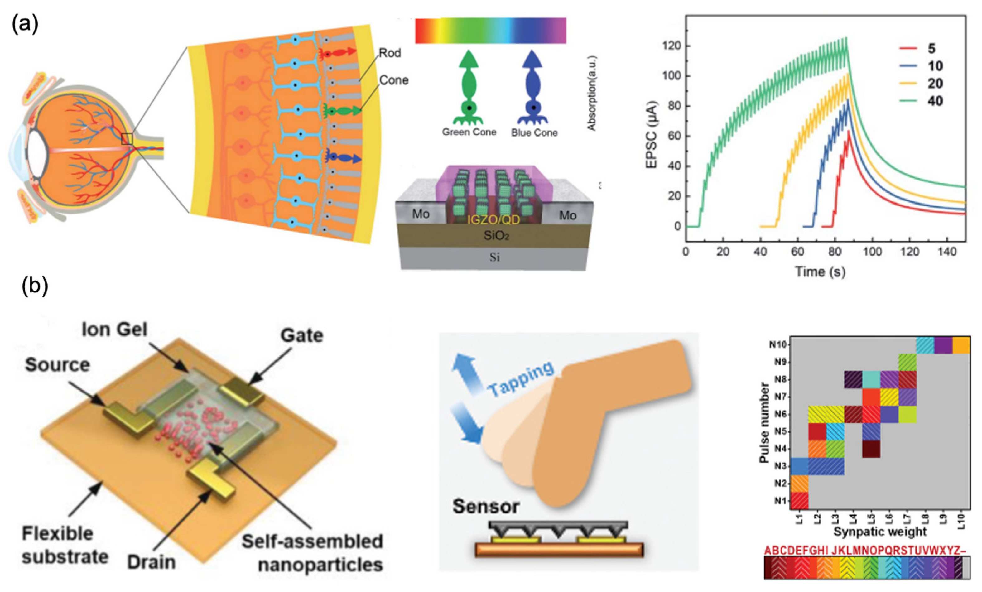 Nanomaterials 13 00373 g011