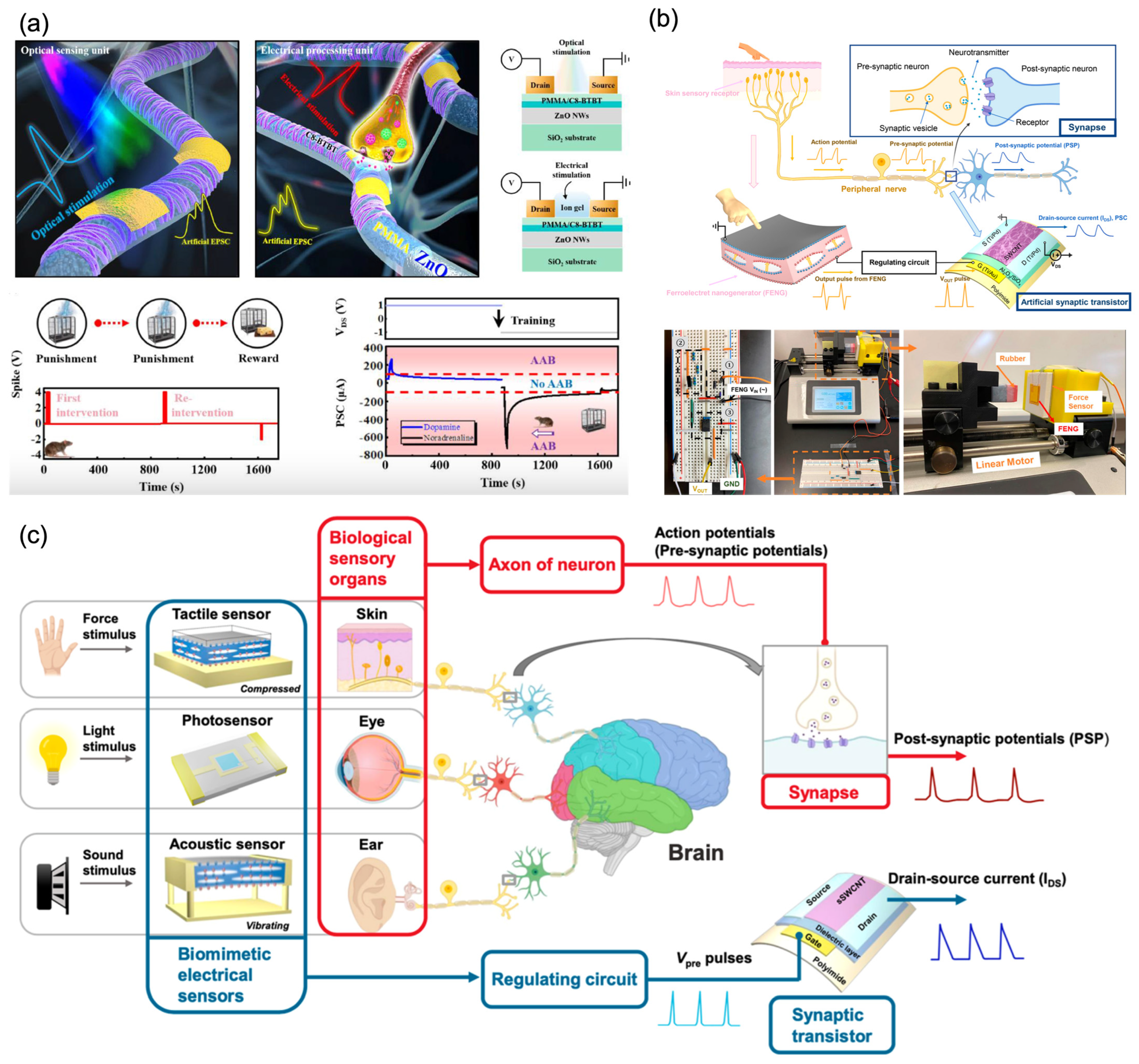 Nanomaterials 13 00373 g012