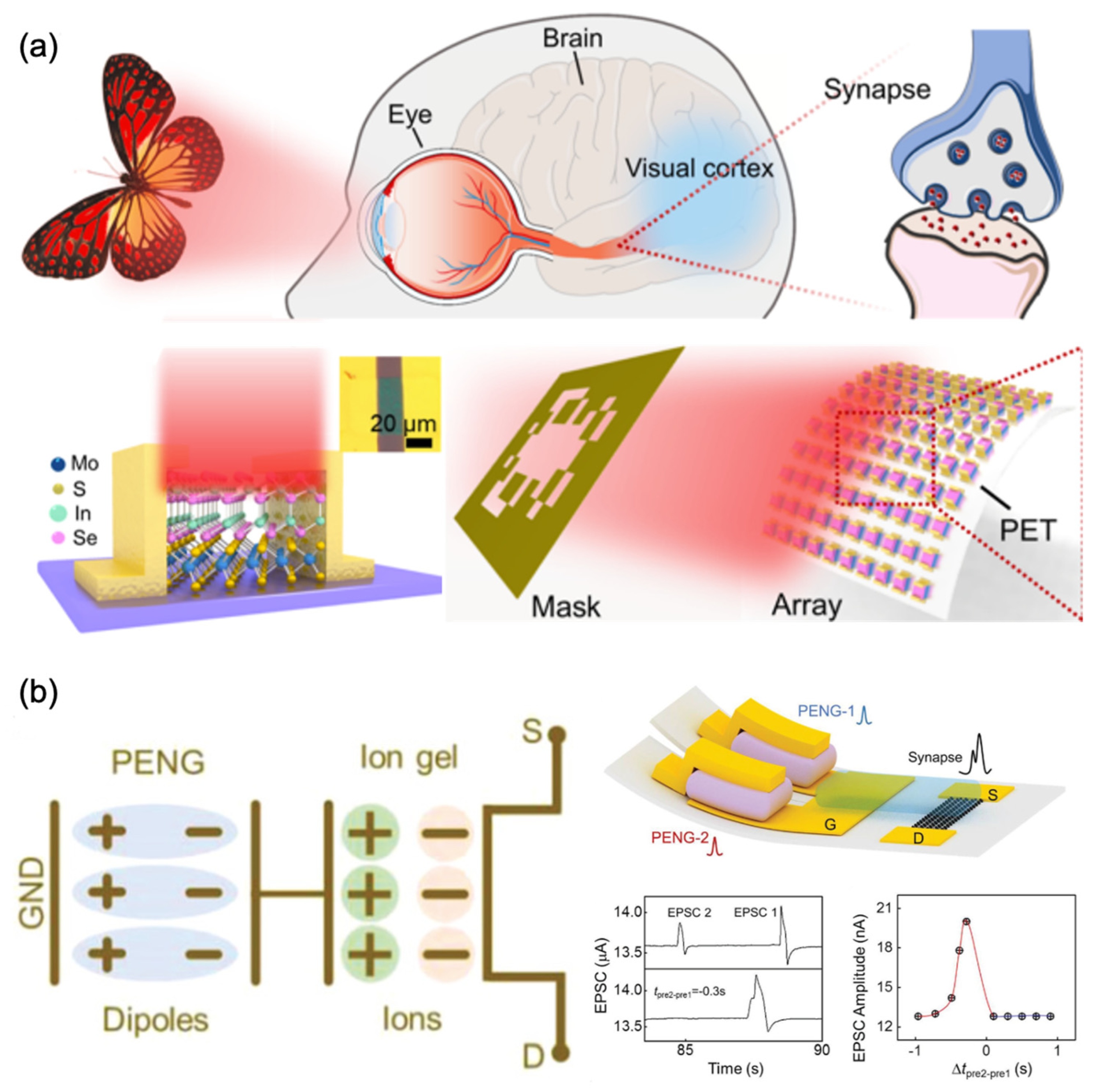 Nanomaterials 13 00373 g013