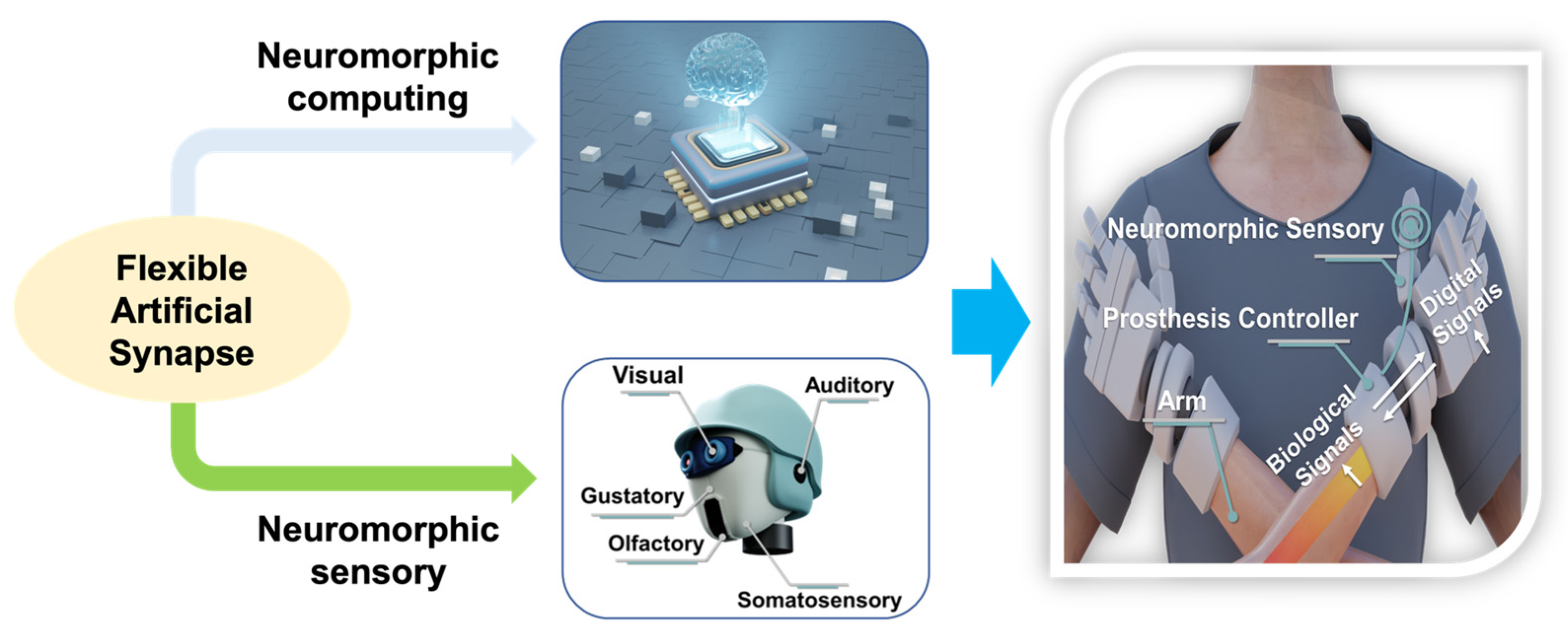 Nanomaterials 13 00373 g014