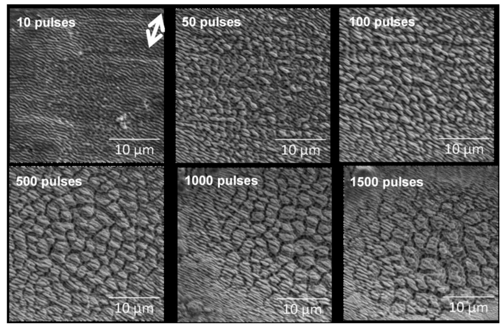Nanomaterials 13 00379 g009 Nanomaterials 13 00379 g009