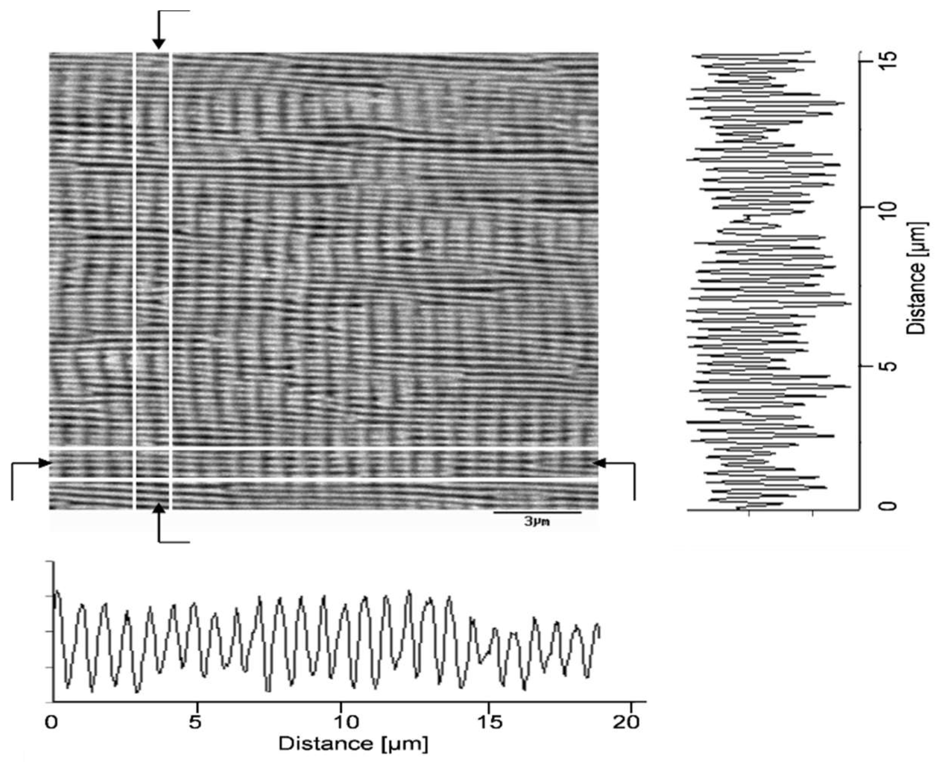 Nanomaterials 13 00379 g010 Nanomaterials 13 00379 g010