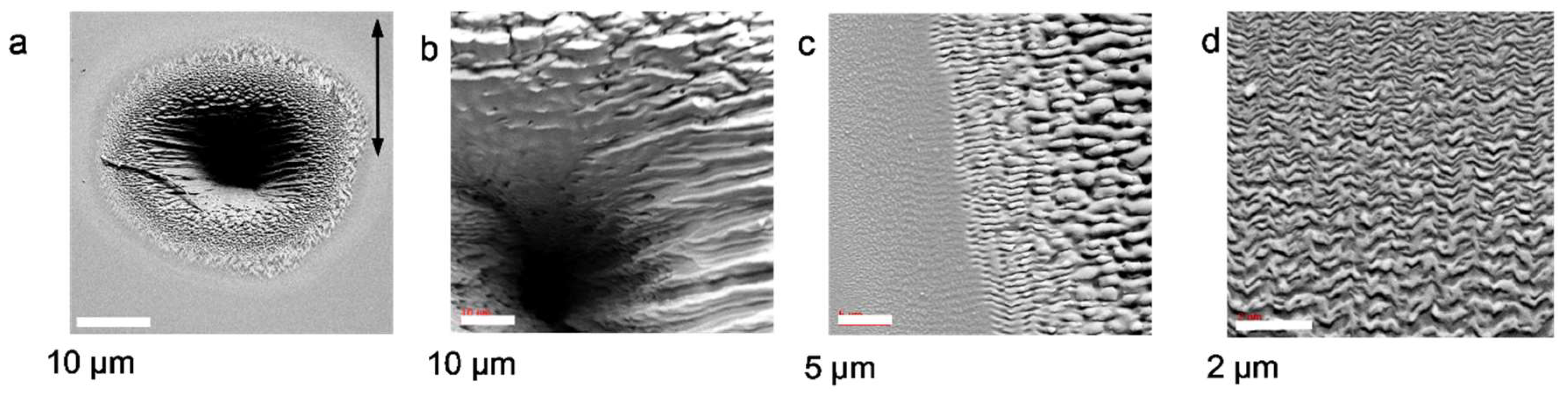 Nanomaterials 13 00379 g023 Nanomaterials 13 00379 g023