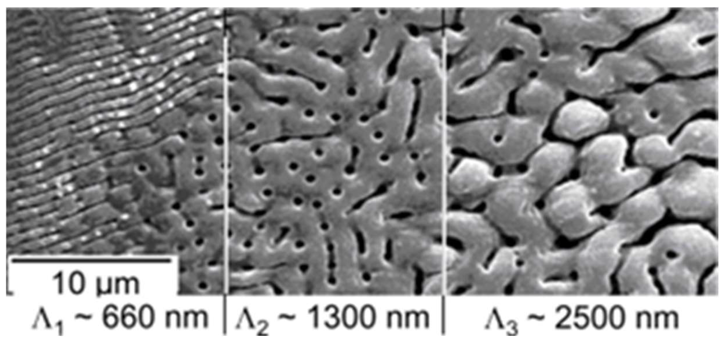 Nanomaterials 13 00379 g024 Nanomaterials 13 00379 g024