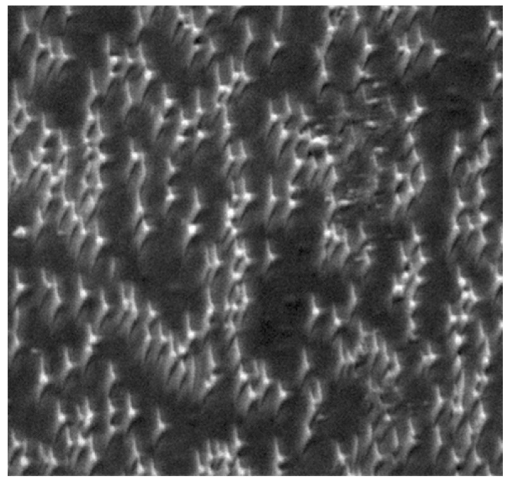 Nanomaterials 13 00379 g029 Nanomaterials 13 00379 g029