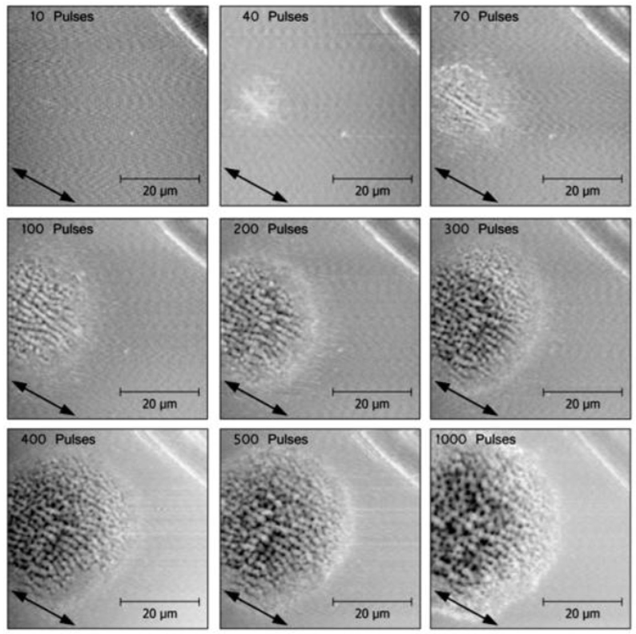 Nanomaterials 13 00379 g031 Nanomaterials 13 00379 g031