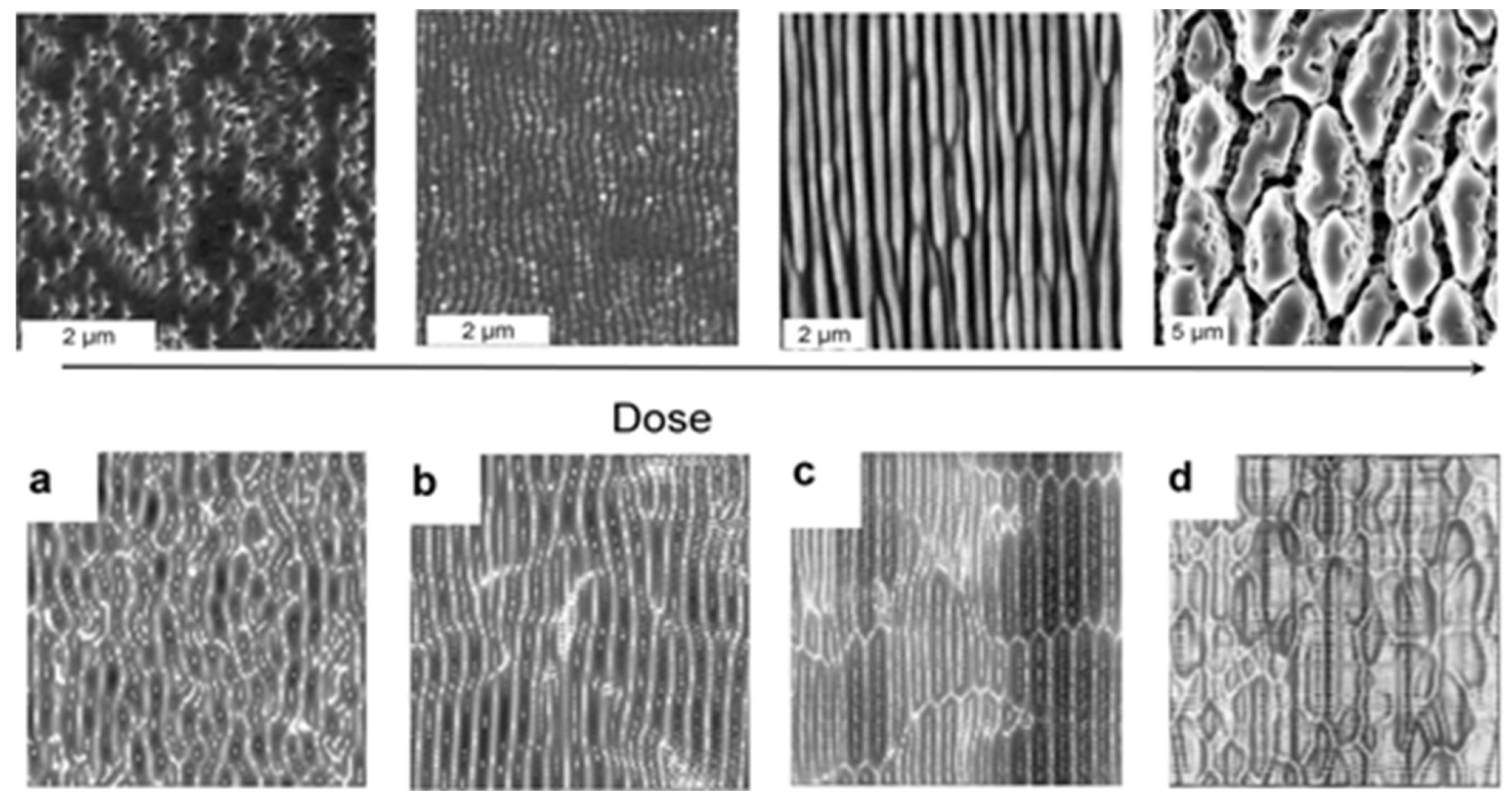 Nanomaterials 13 00379 g039 Nanomaterials 13 00379 g039