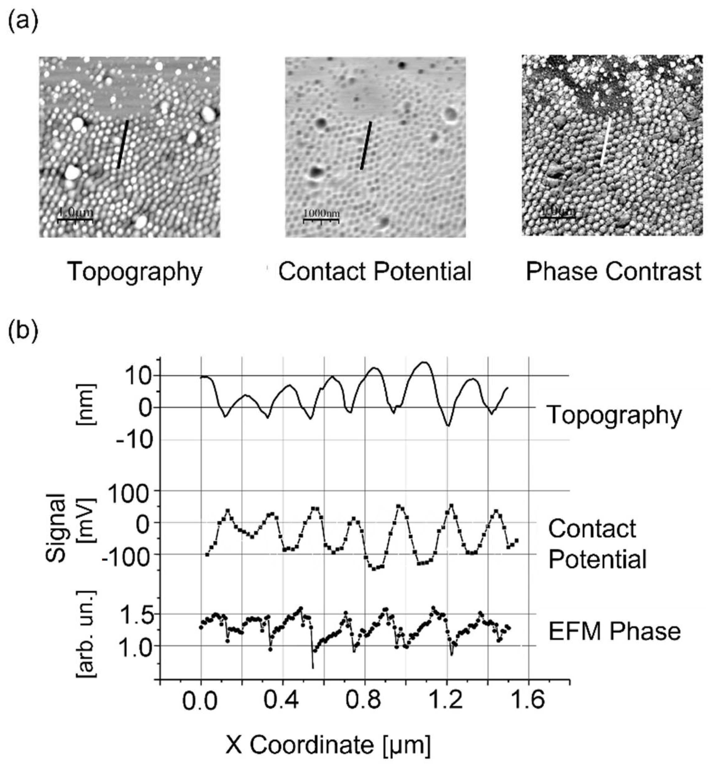 Nanomaterials 13 00379 g048 Nanomaterials 13 00379 g048