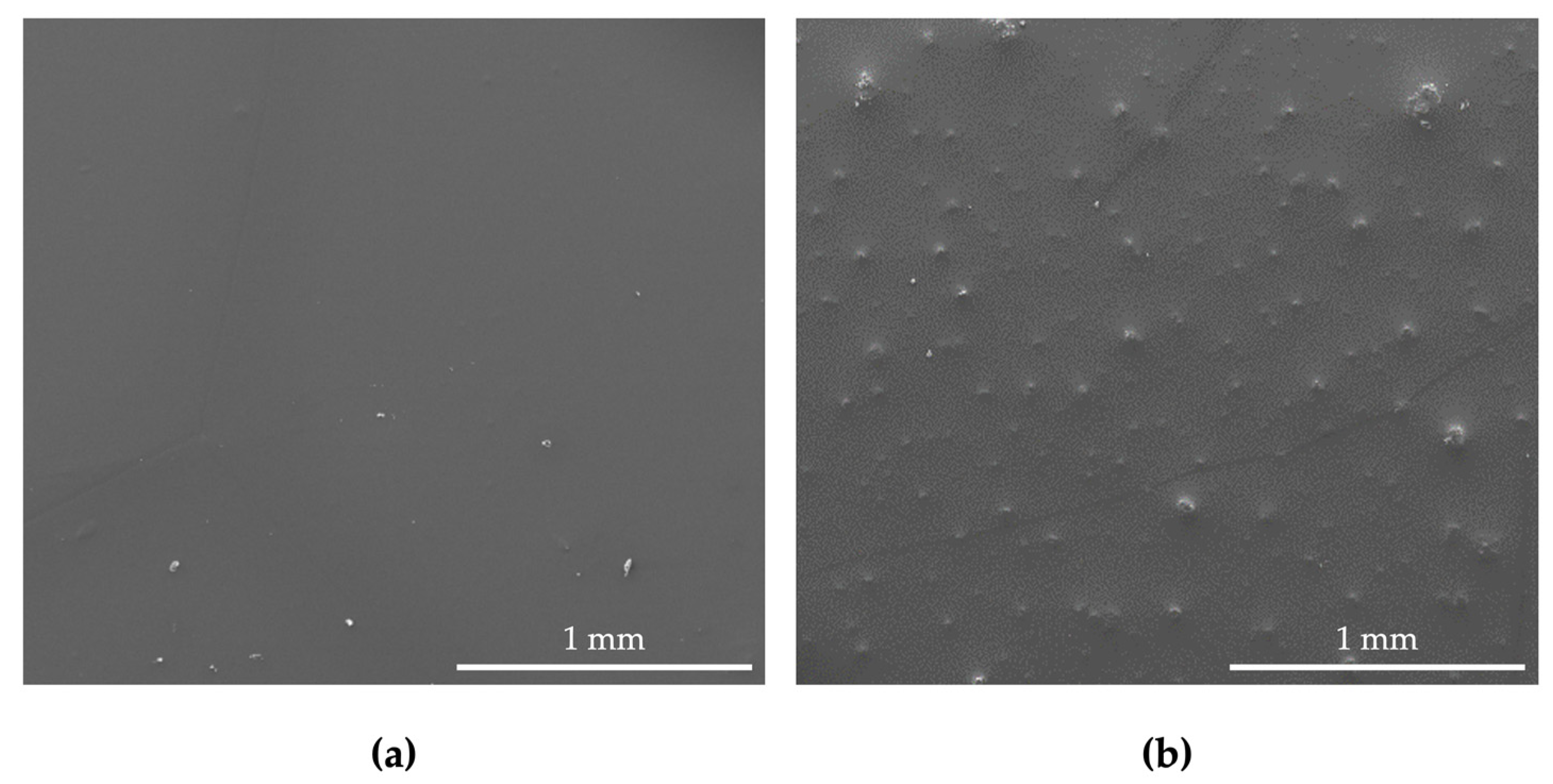 Nanomaterials 13 00381 g003 Nanomaterials 13 00381 g003
