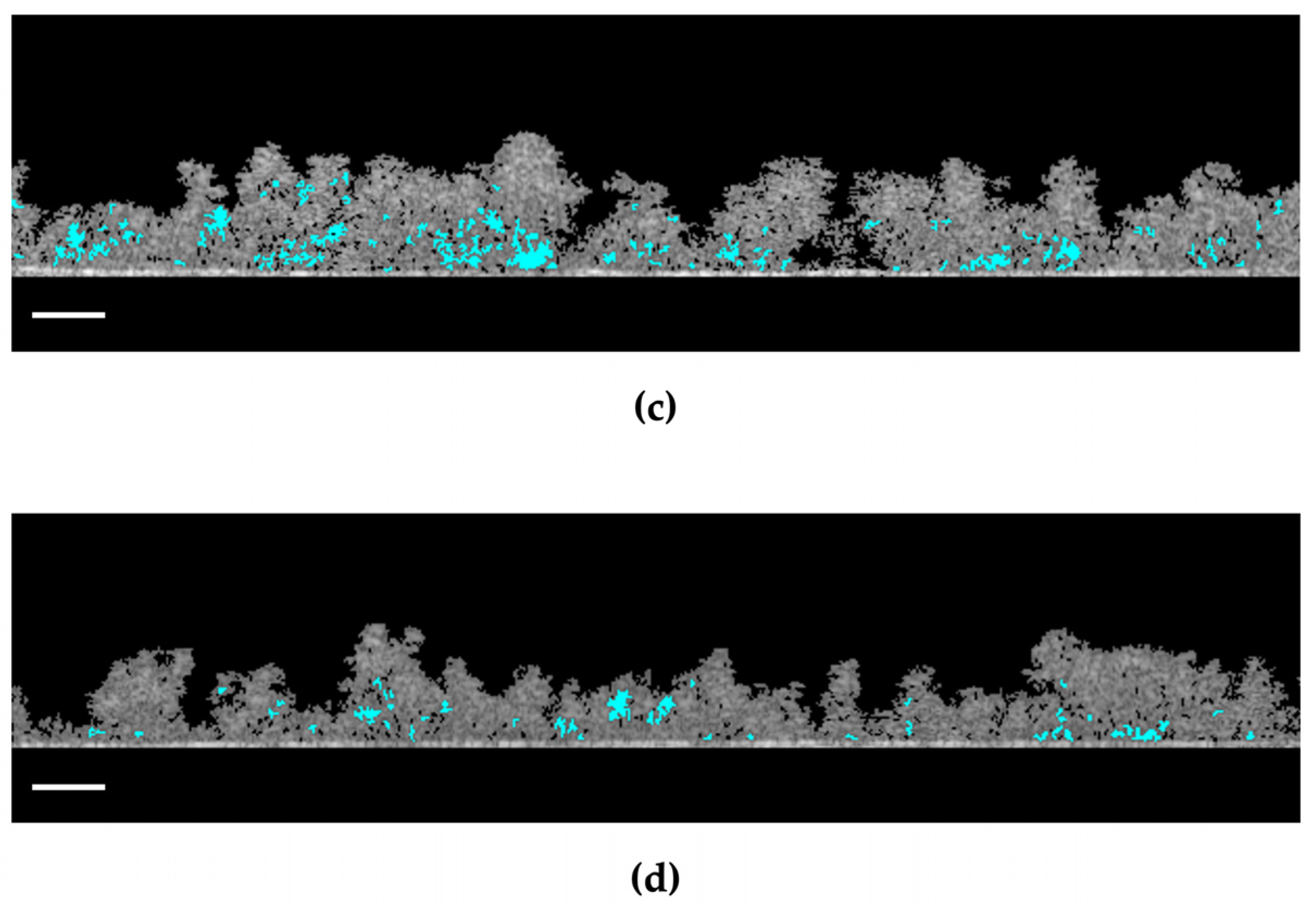 Nanomaterials 13 00381 g006b Nanomaterials 13 00381 g006b