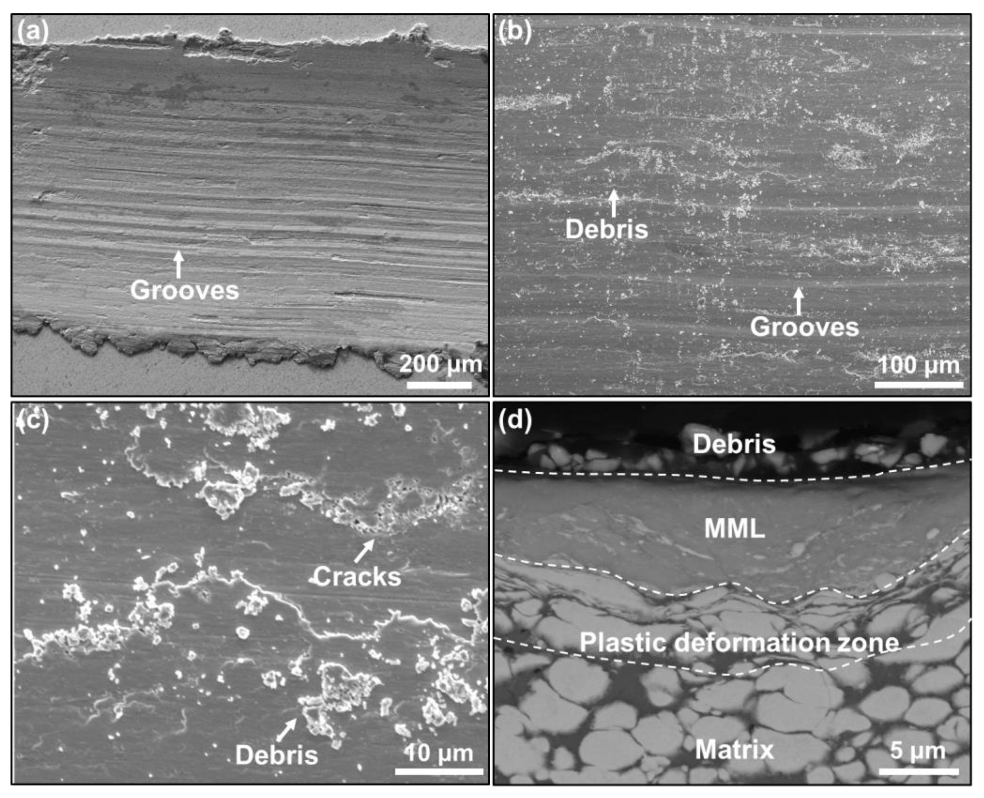 Nanomaterials 13 00386 g004