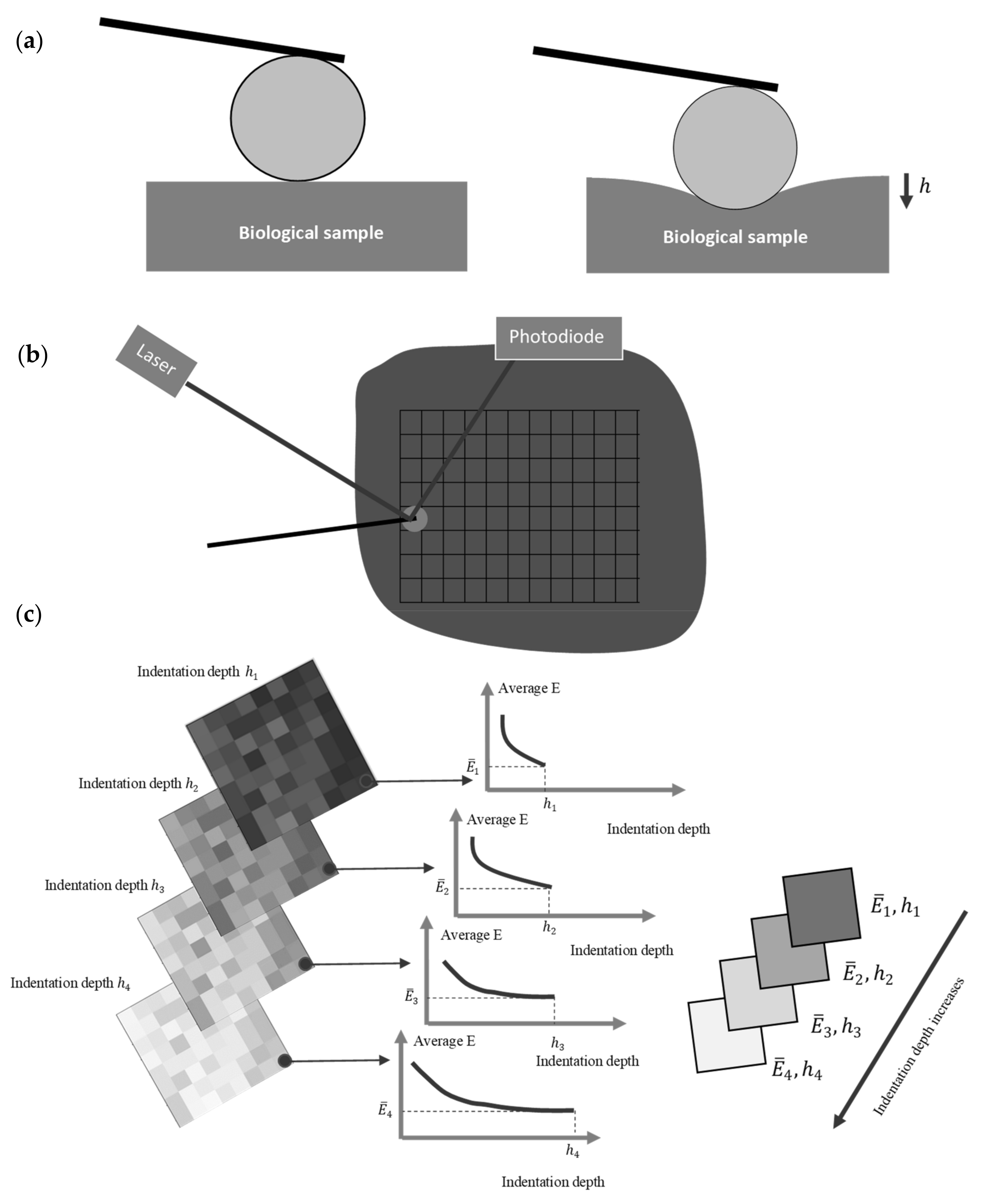 Nanomaterials 13 00395 g001