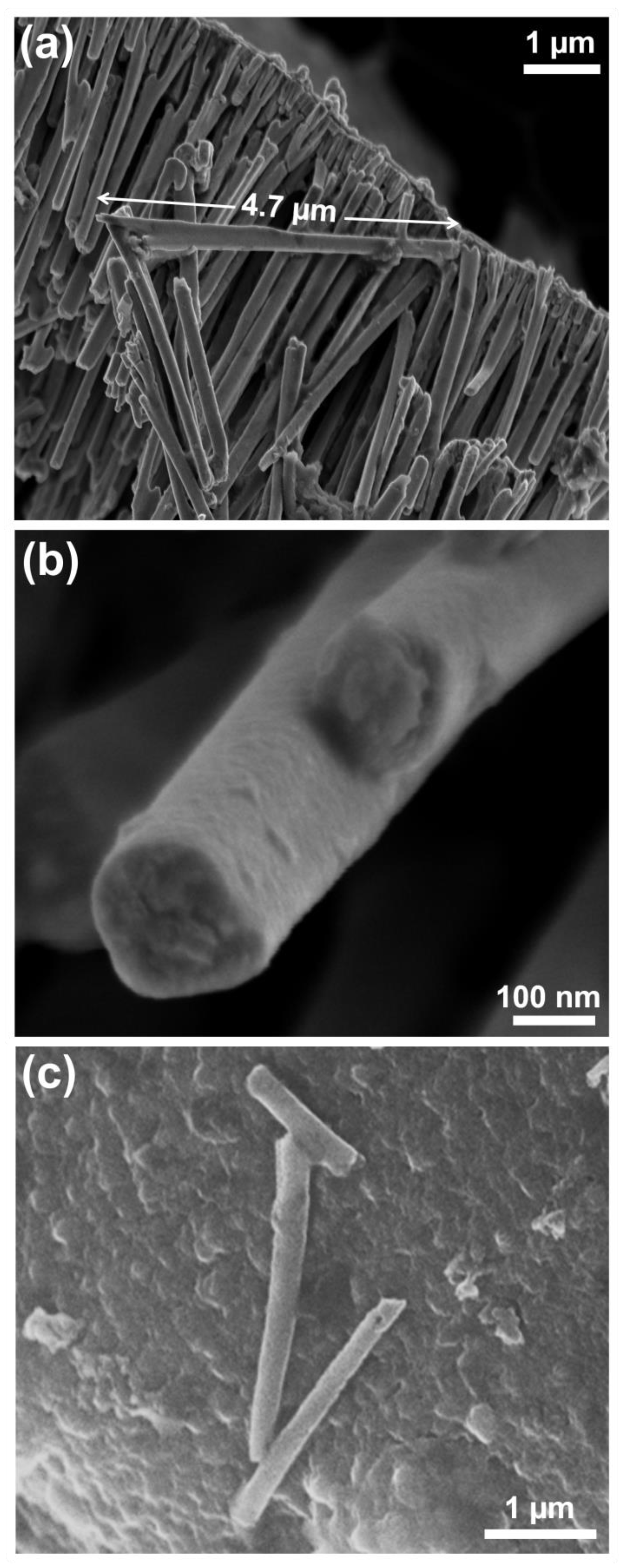 Nanomaterials 13 00403 g001
