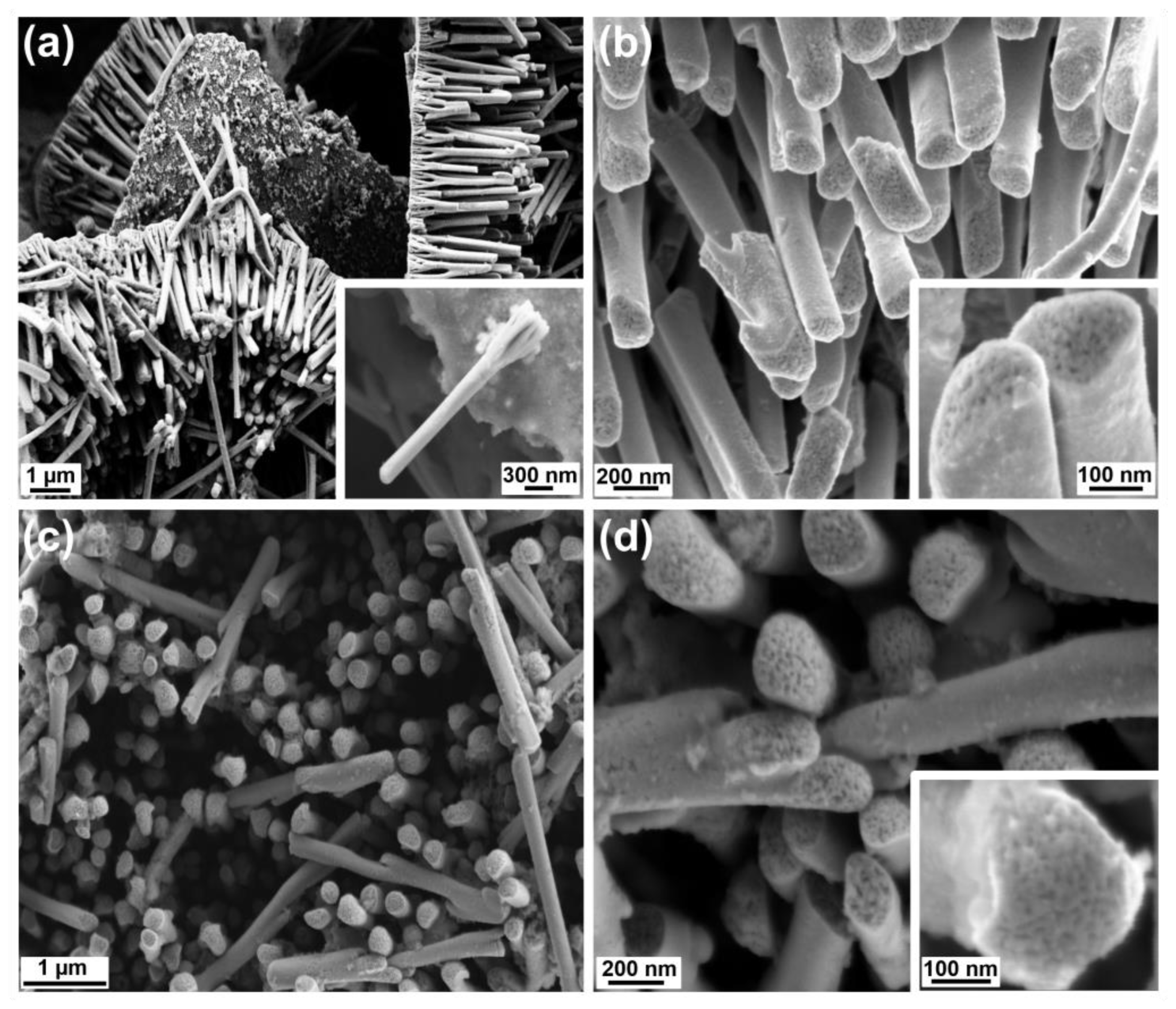 Nanomaterials 13 00403 g004