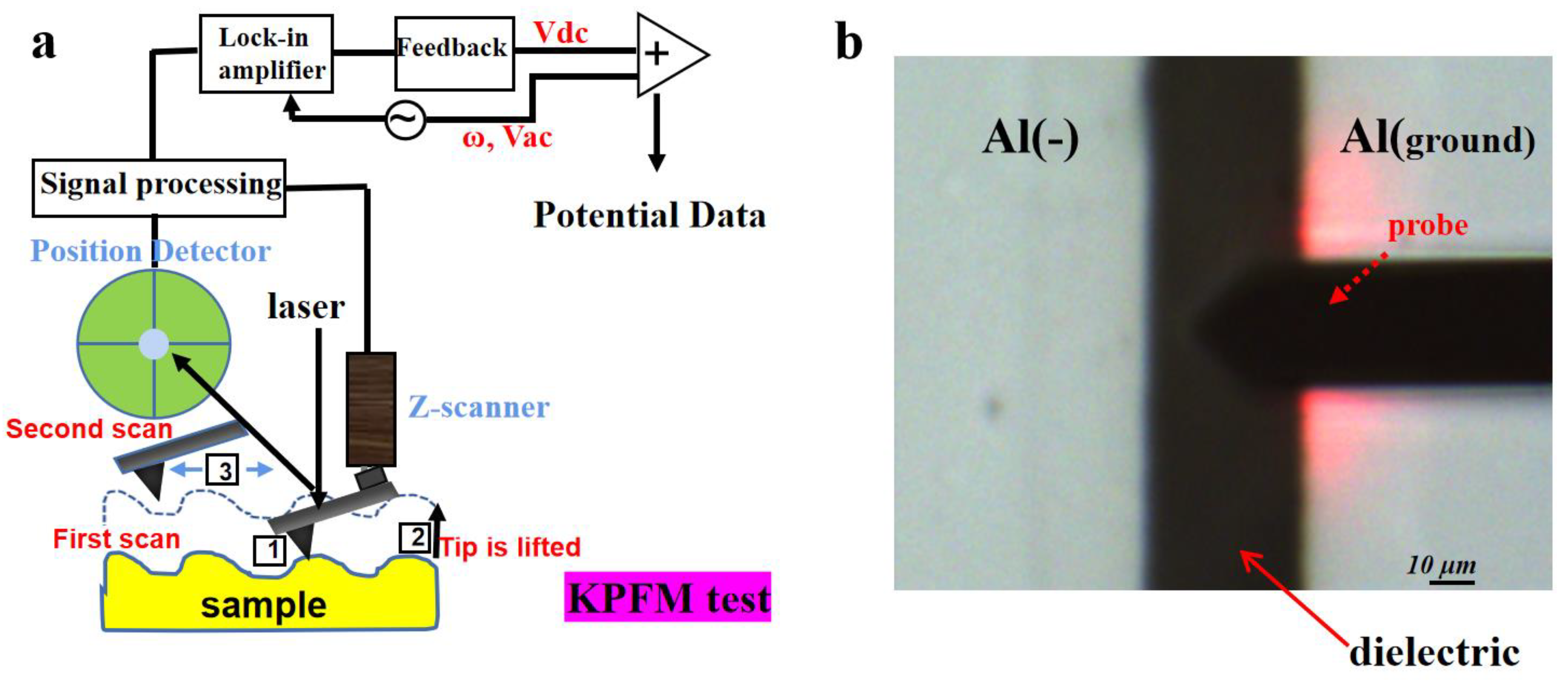 Nanomaterials 13 00406 g002
