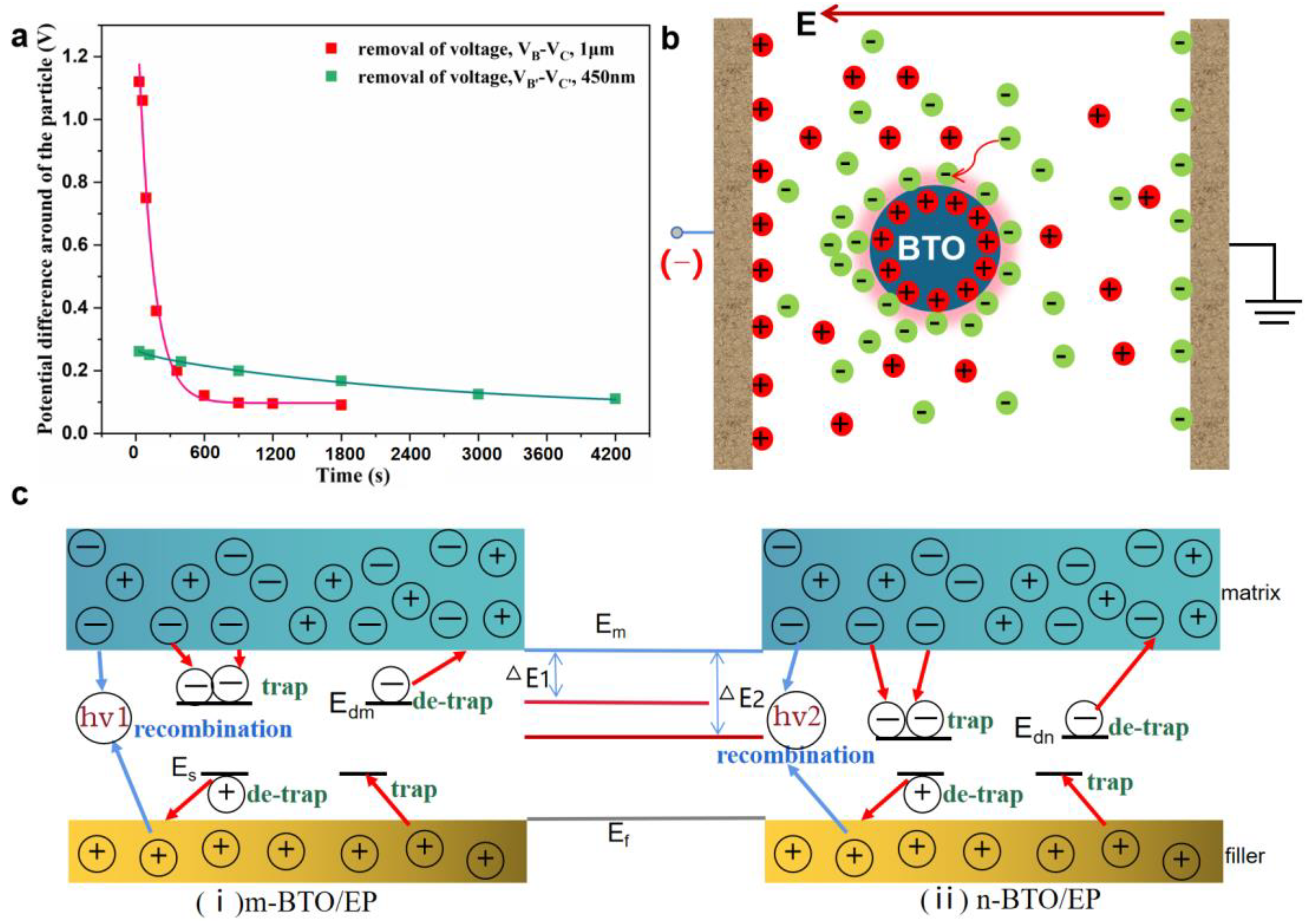 Nanomaterials 13 00406 g012