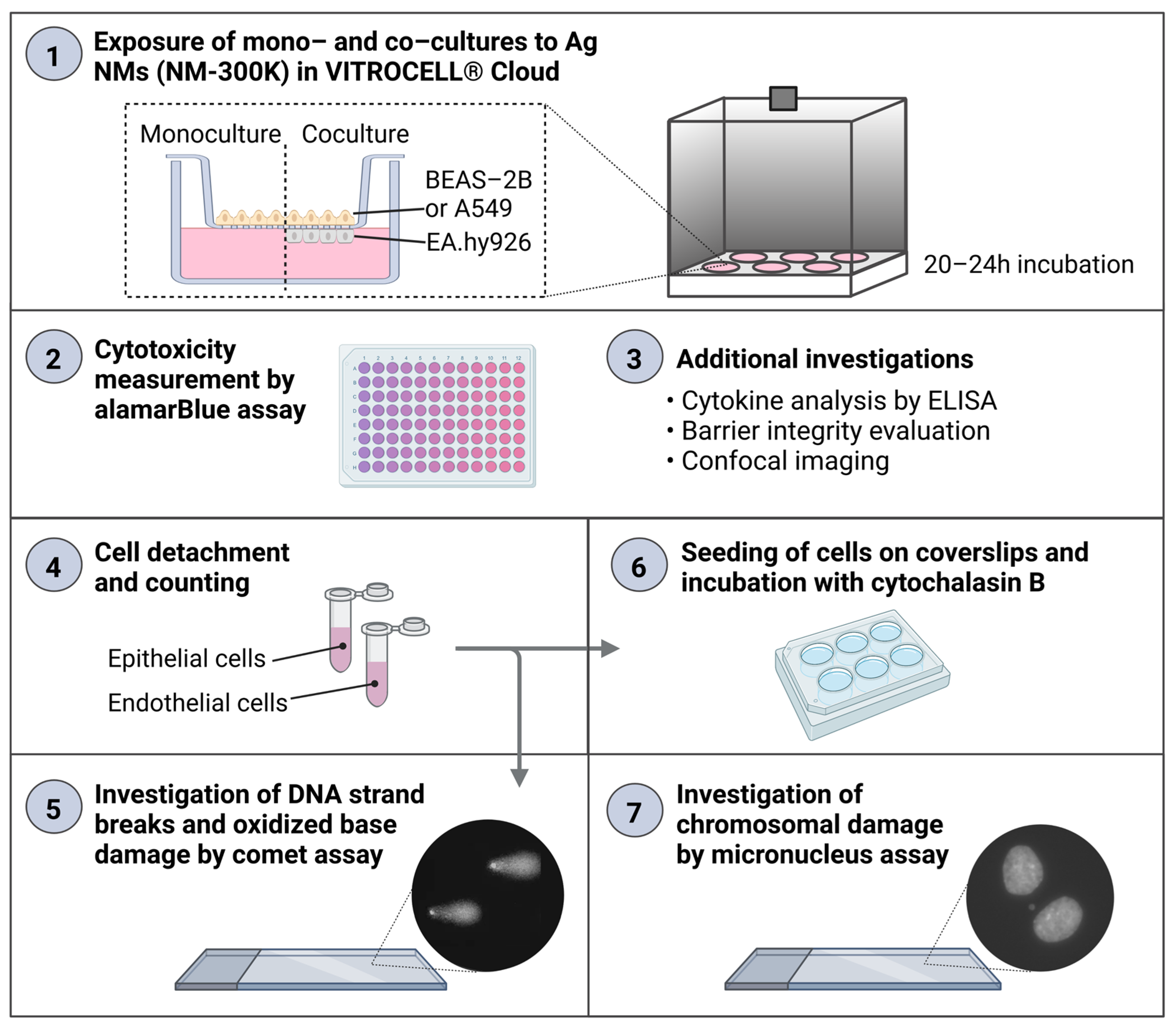 Nanomaterials 13 00407 g001