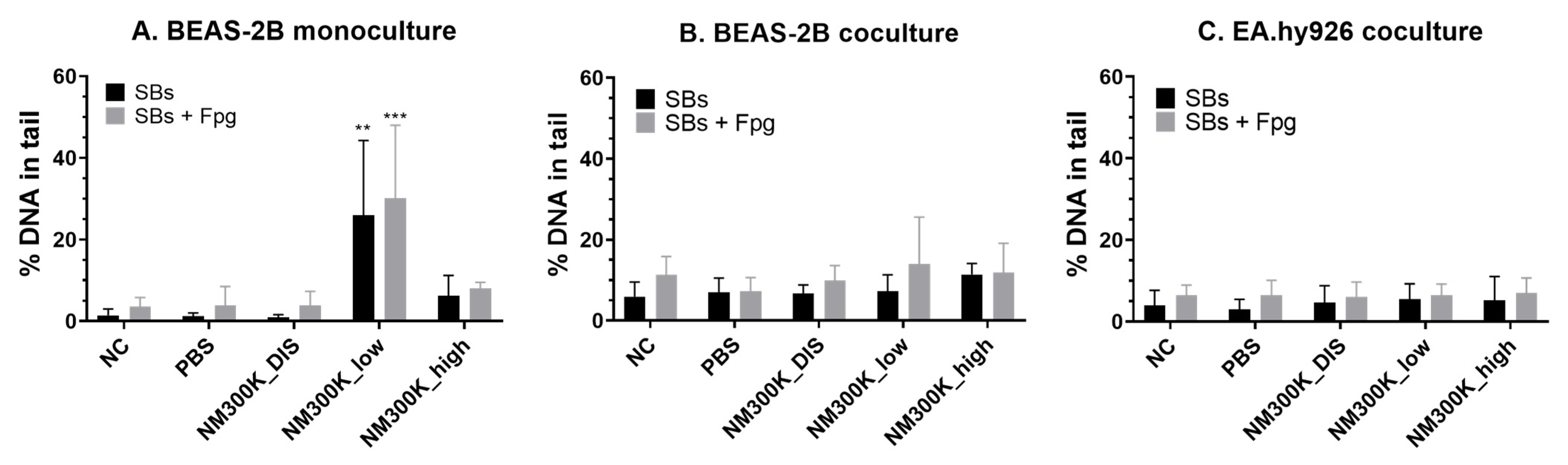 Nanomaterials 13 00407 g005