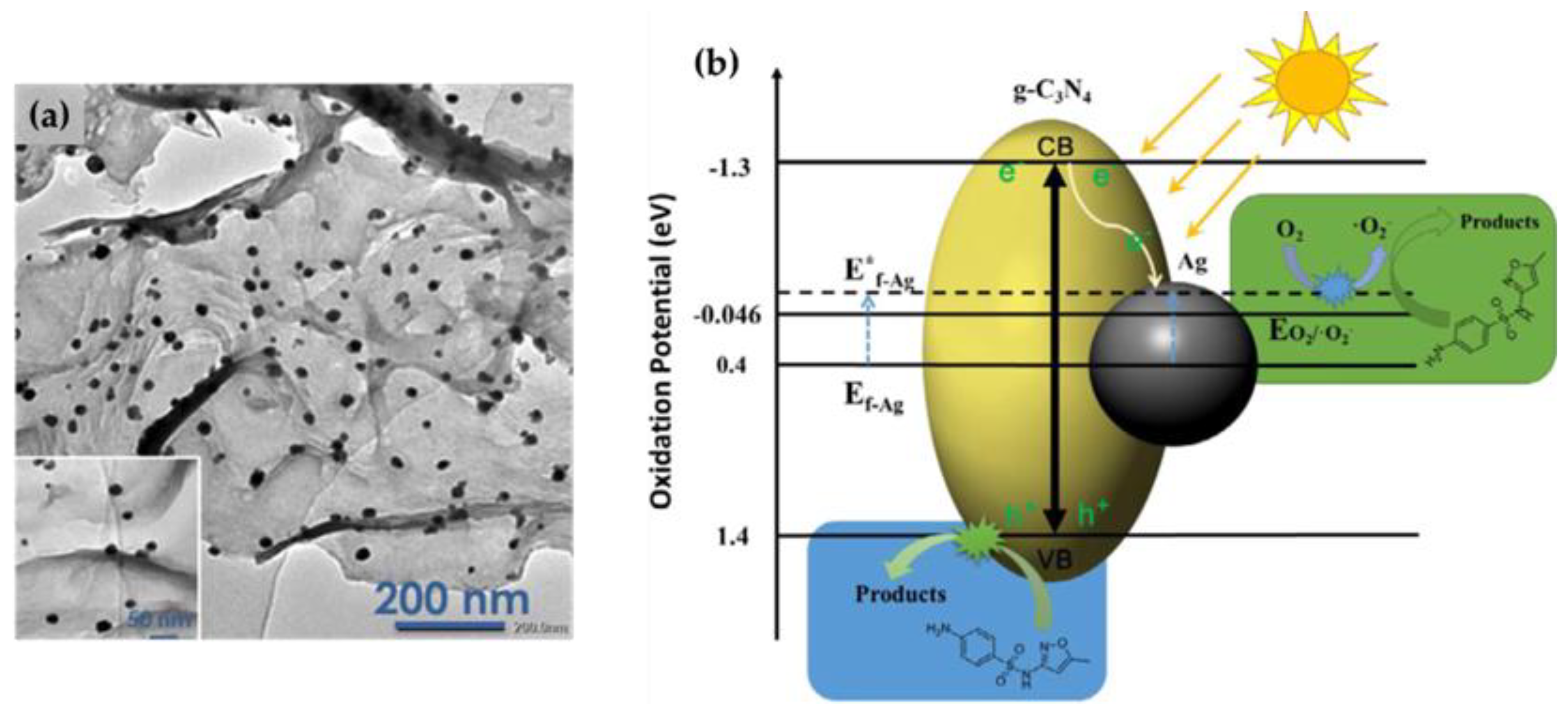 Nanomaterials 13 00408 g002 Nanomaterials 13 00408 g002