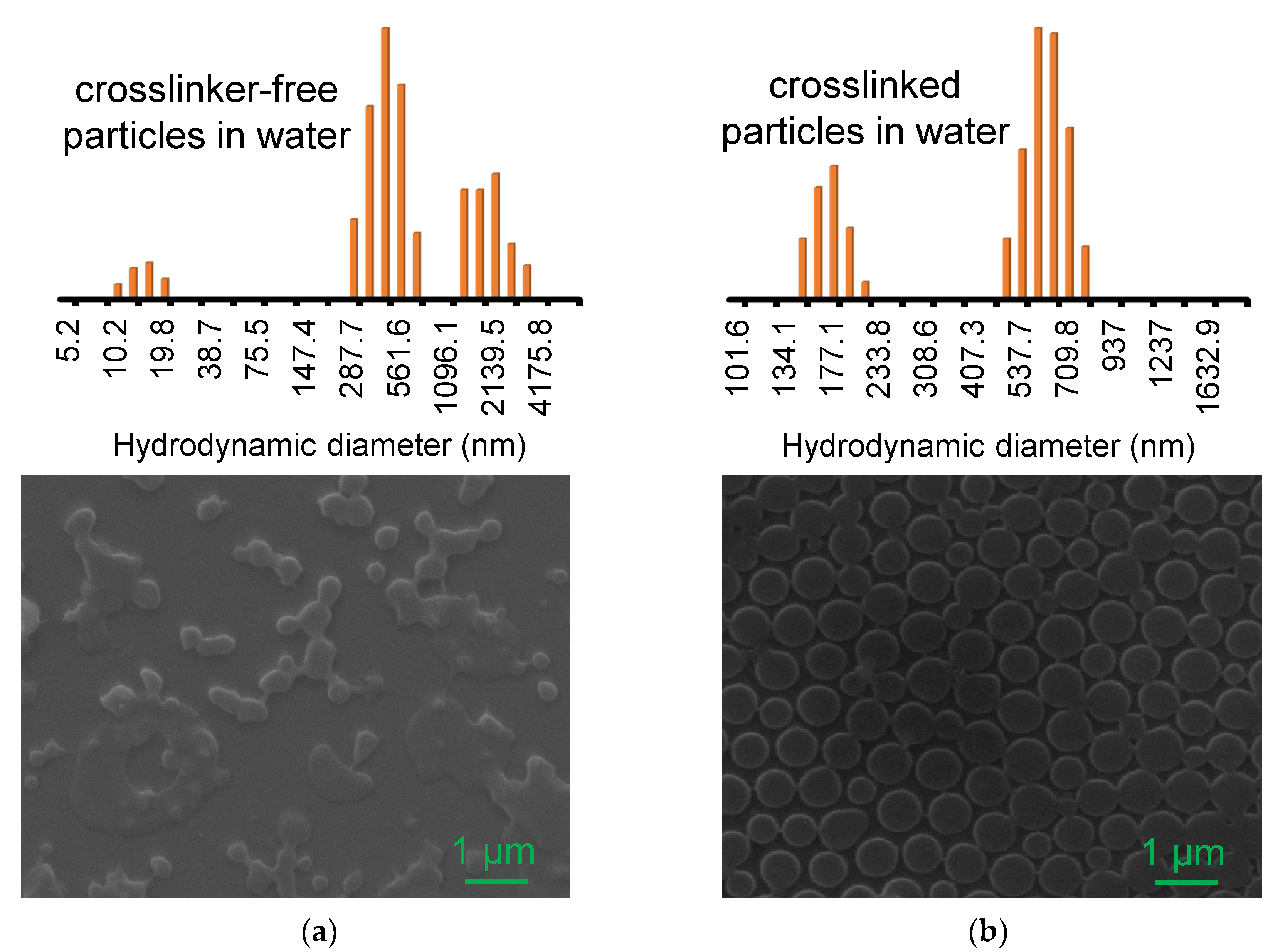 Nanomaterials 13 00416 g001