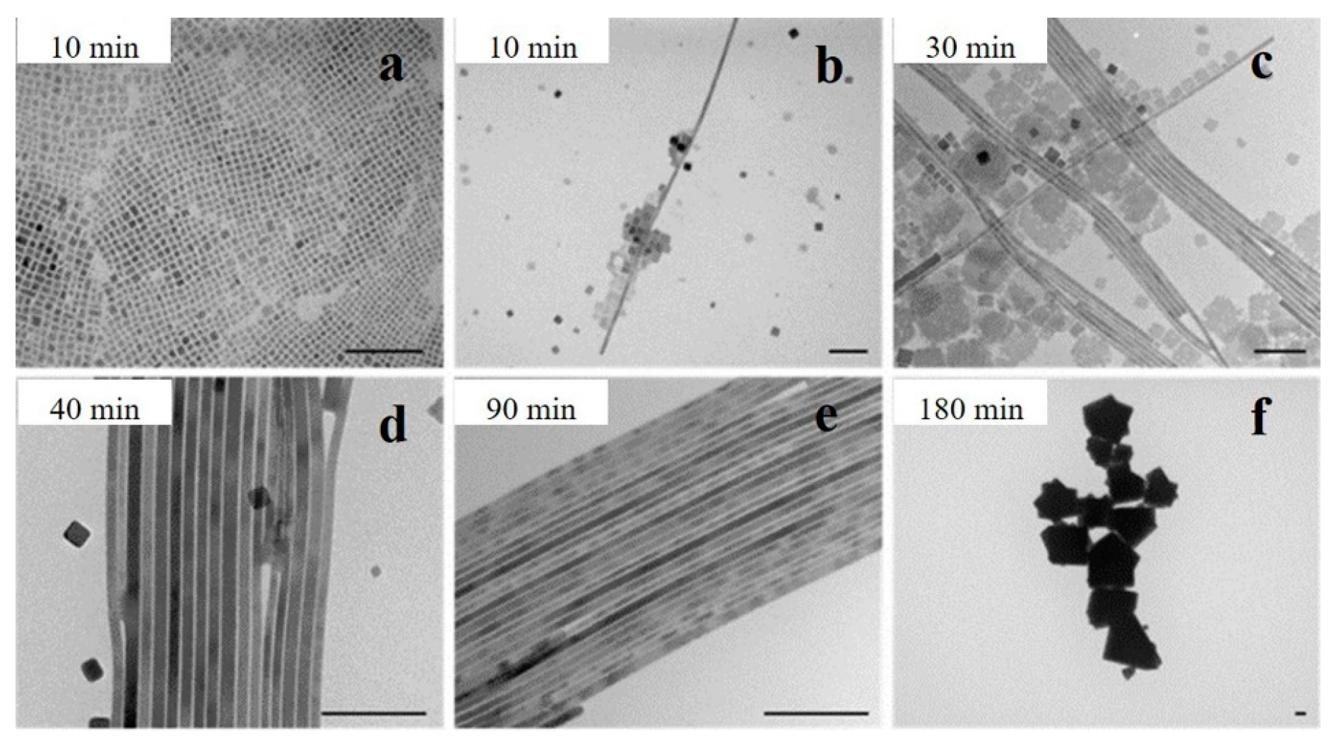 Nanomaterials 13 00419 g002 Nanomaterials 13 00419 g002