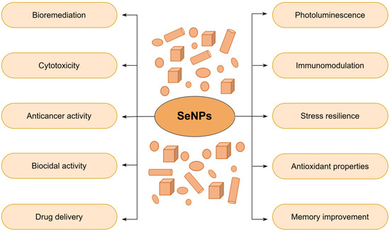 Nanomaterials | Free Full-Text | Biogenic Selenium Nanoparticles in ...