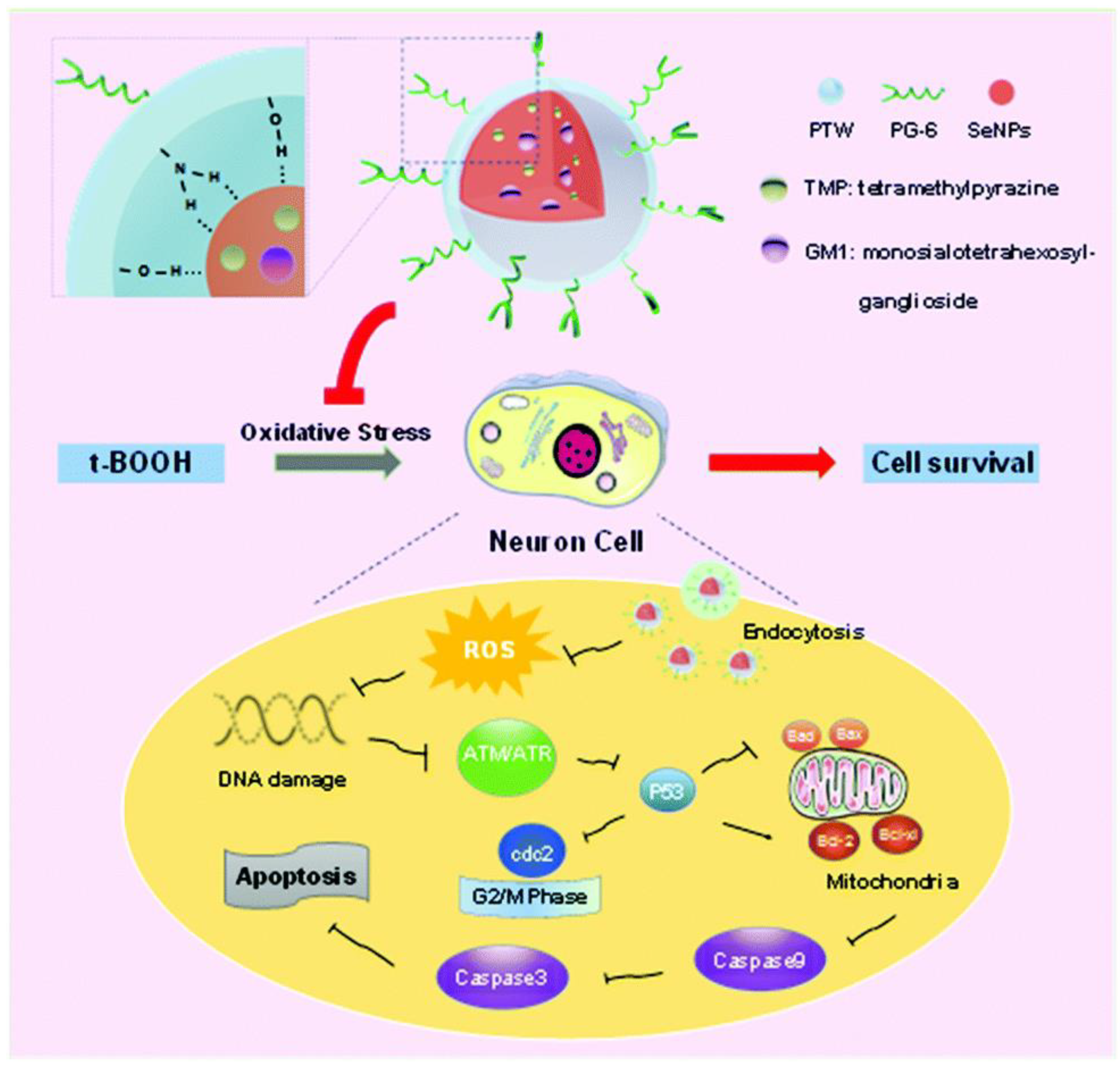Nanomaterials 13 00424 g004 Nanomaterials 13 00424 g004