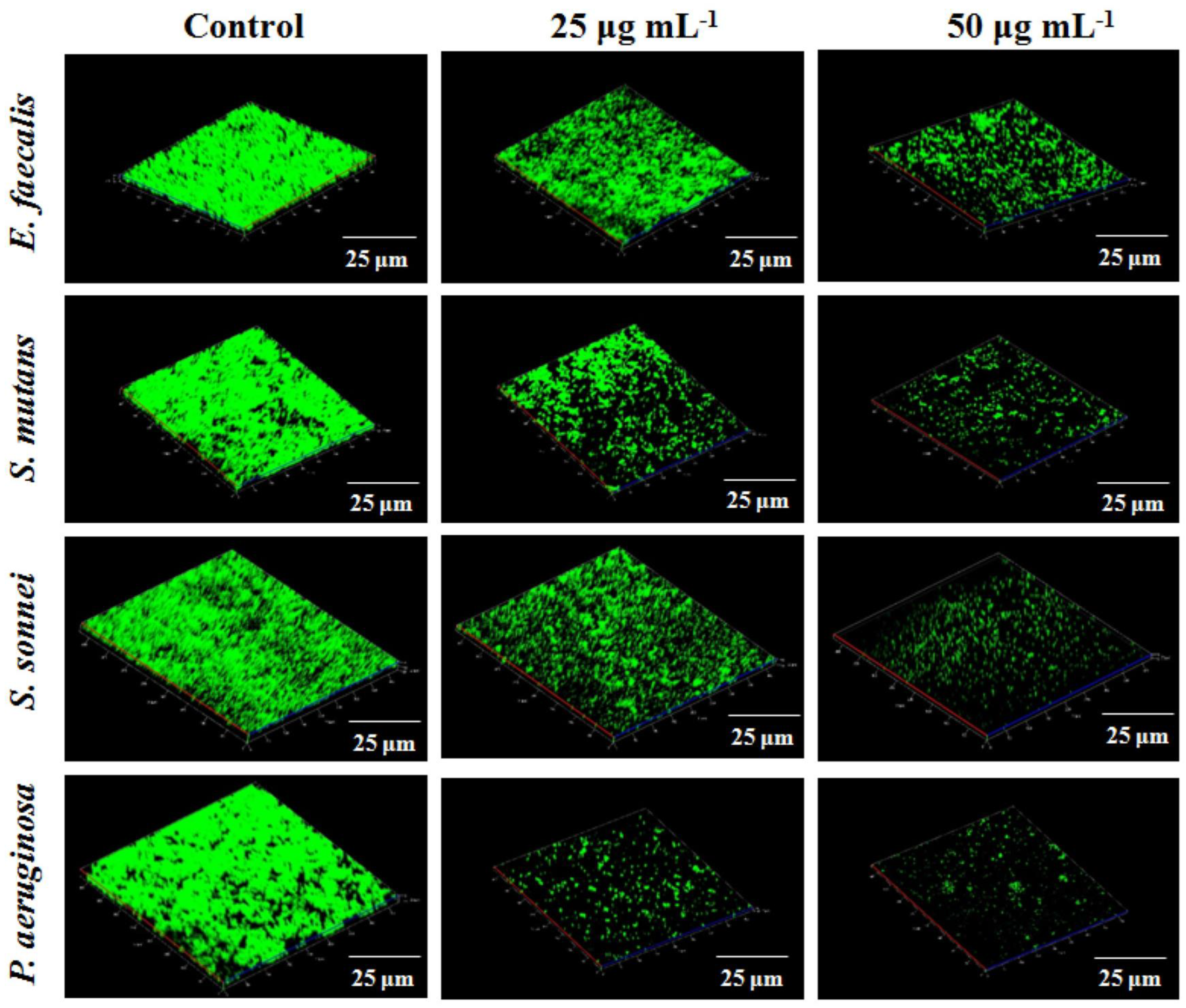 Nanomaterials 13 00424 g009 Nanomaterials 13 00424 g009