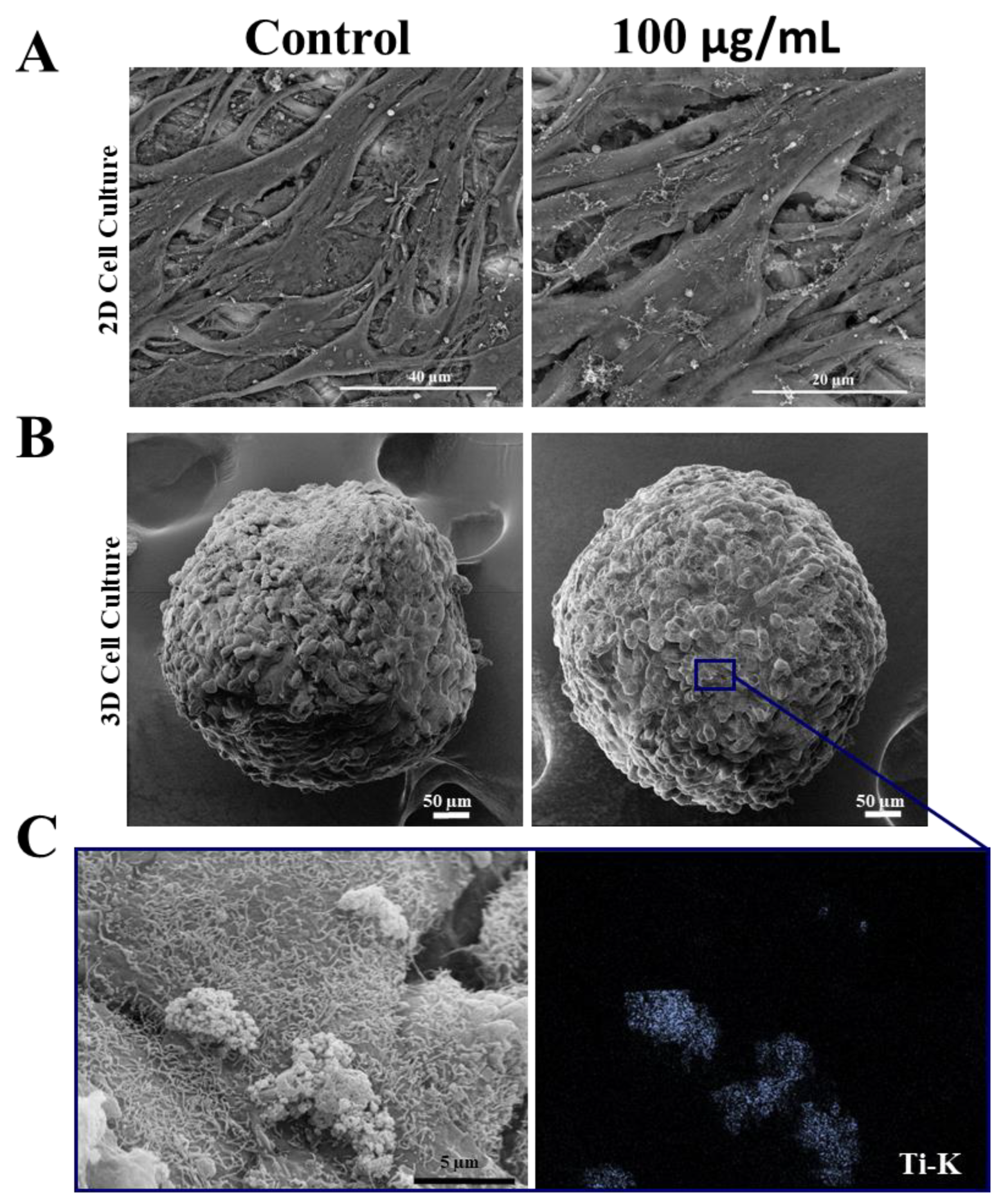 Nanomaterials 13 00425 g003