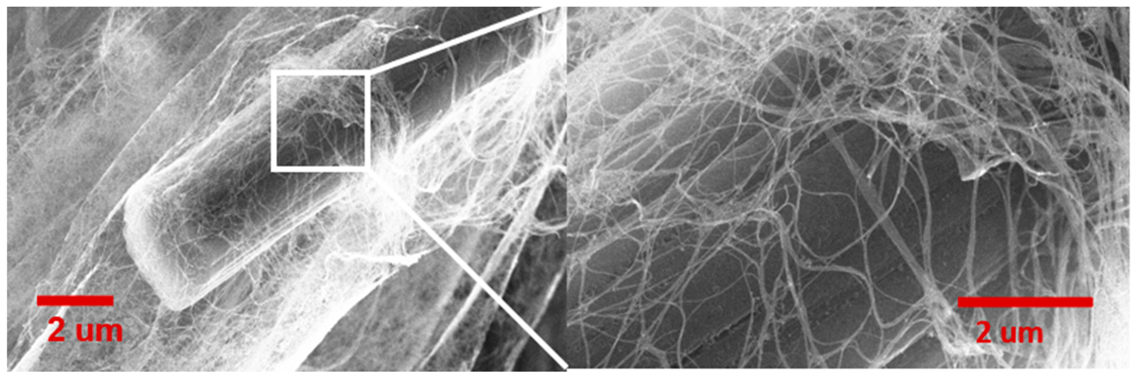 Nanomaterials 13 00431 g016 Nanomaterials 13 00431 g016