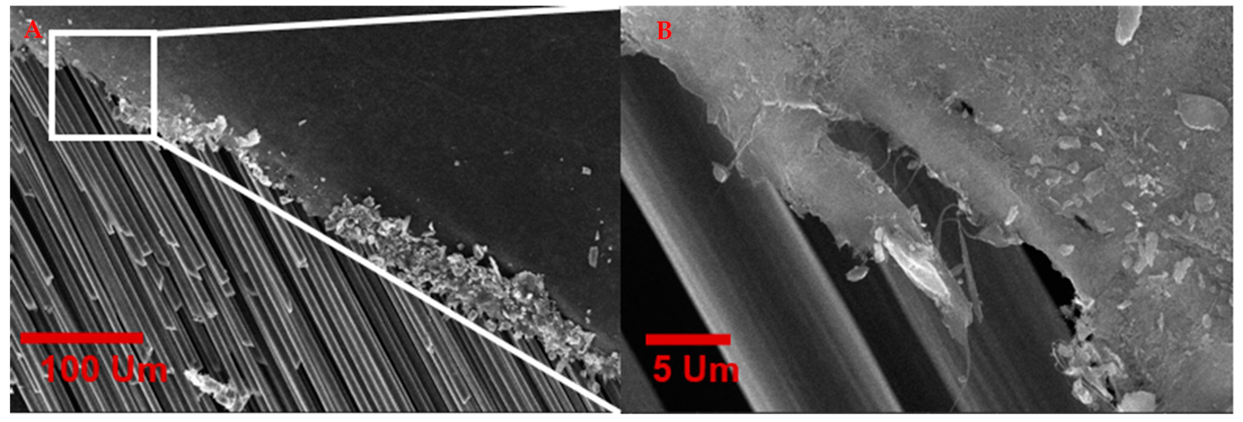 Nanomaterials 13 00431 g017 Nanomaterials 13 00431 g017