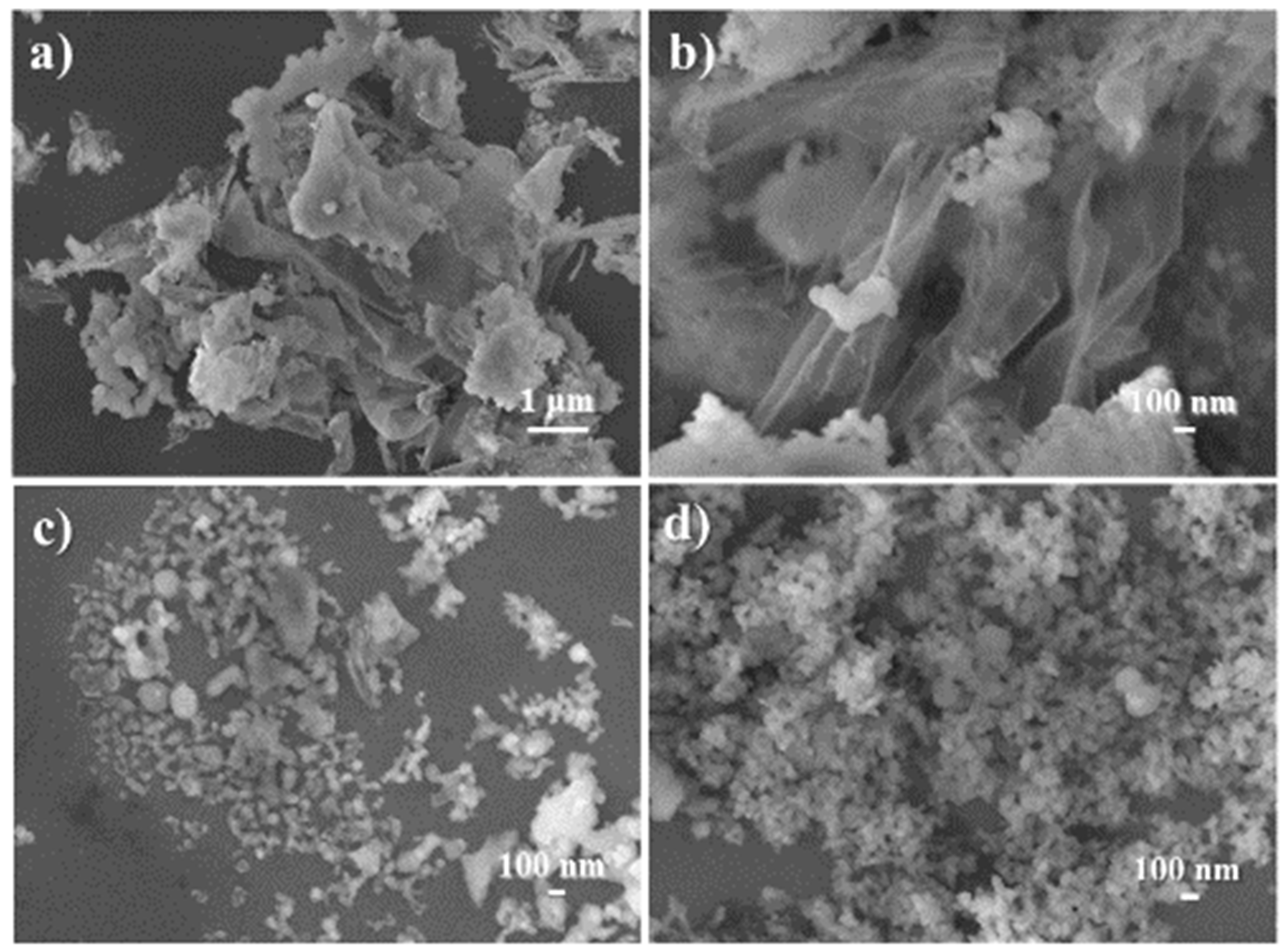 Nanomaterials 13 00433 g008