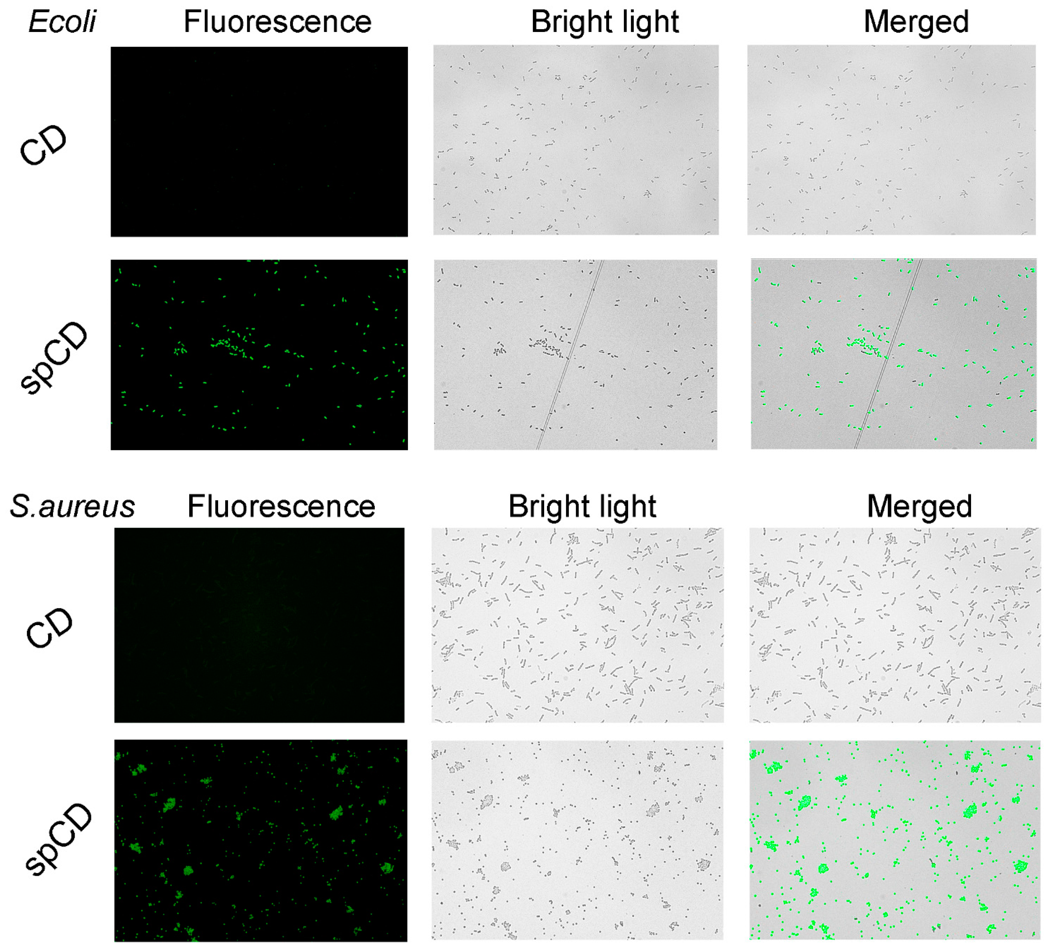 Nanomaterials 13 00437 g005 Nanomaterials 13 00437 g005