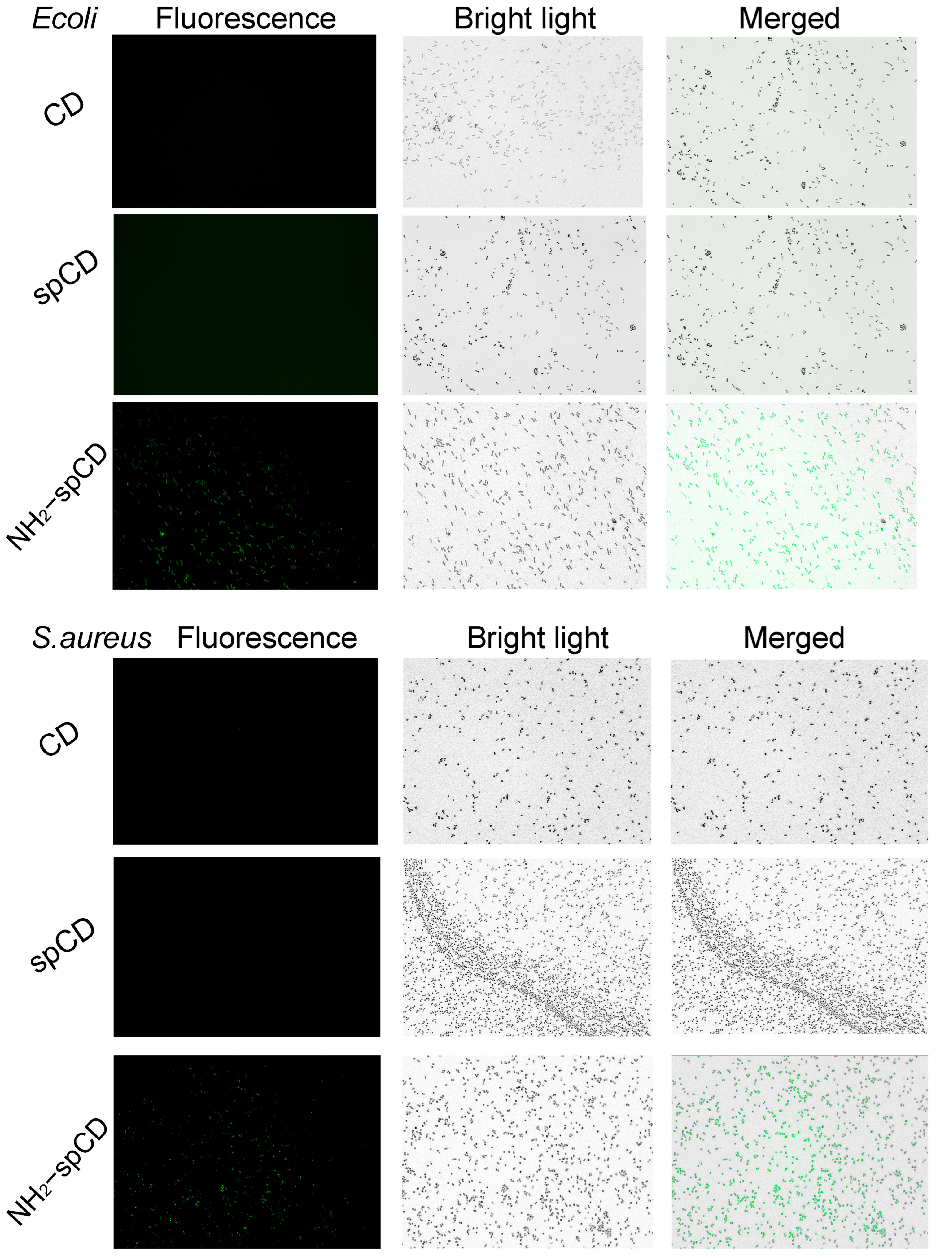 Nanomaterials 13 00437 g006 Nanomaterials 13 00437 g006