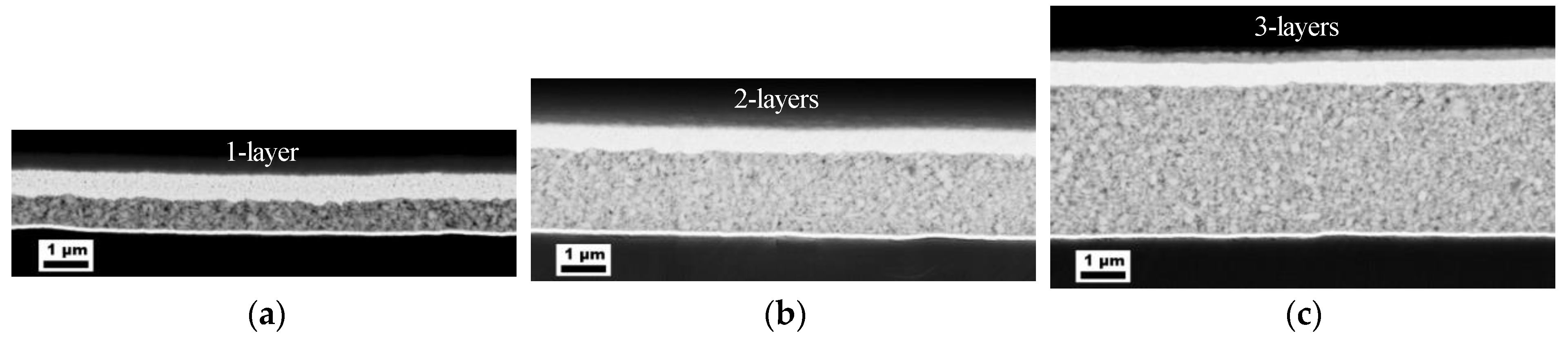 Nanomaterials 13 00441 g001