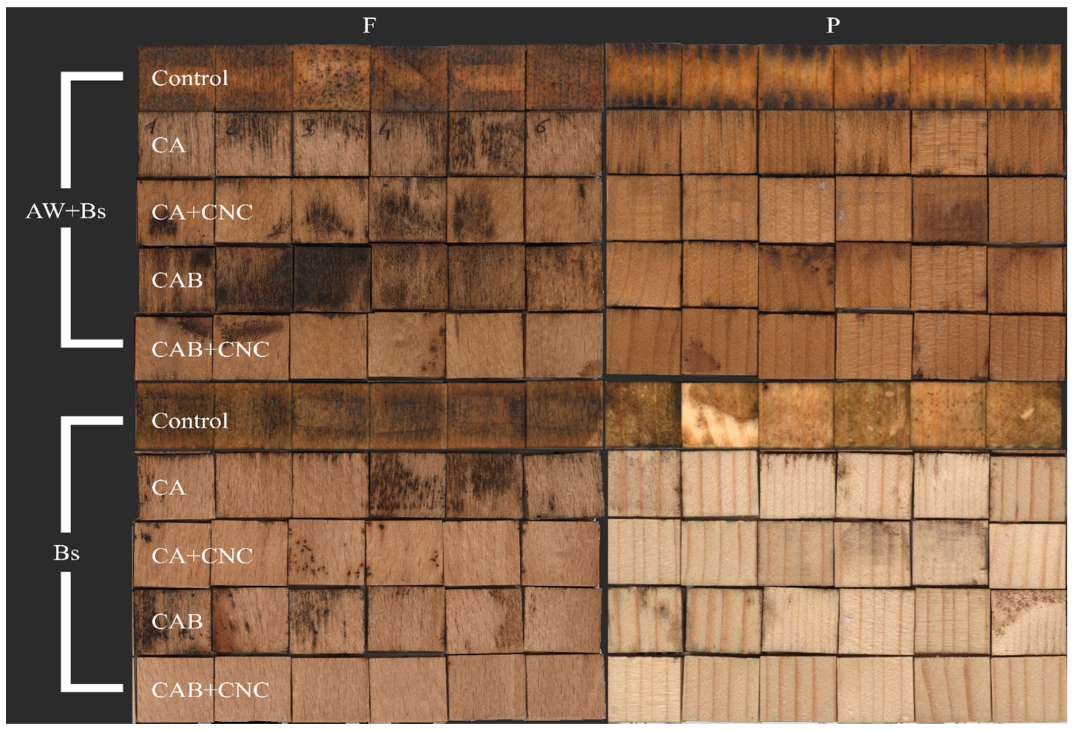 Nanomaterials 13 00442 g006 Nanomaterials 13 00442 g006