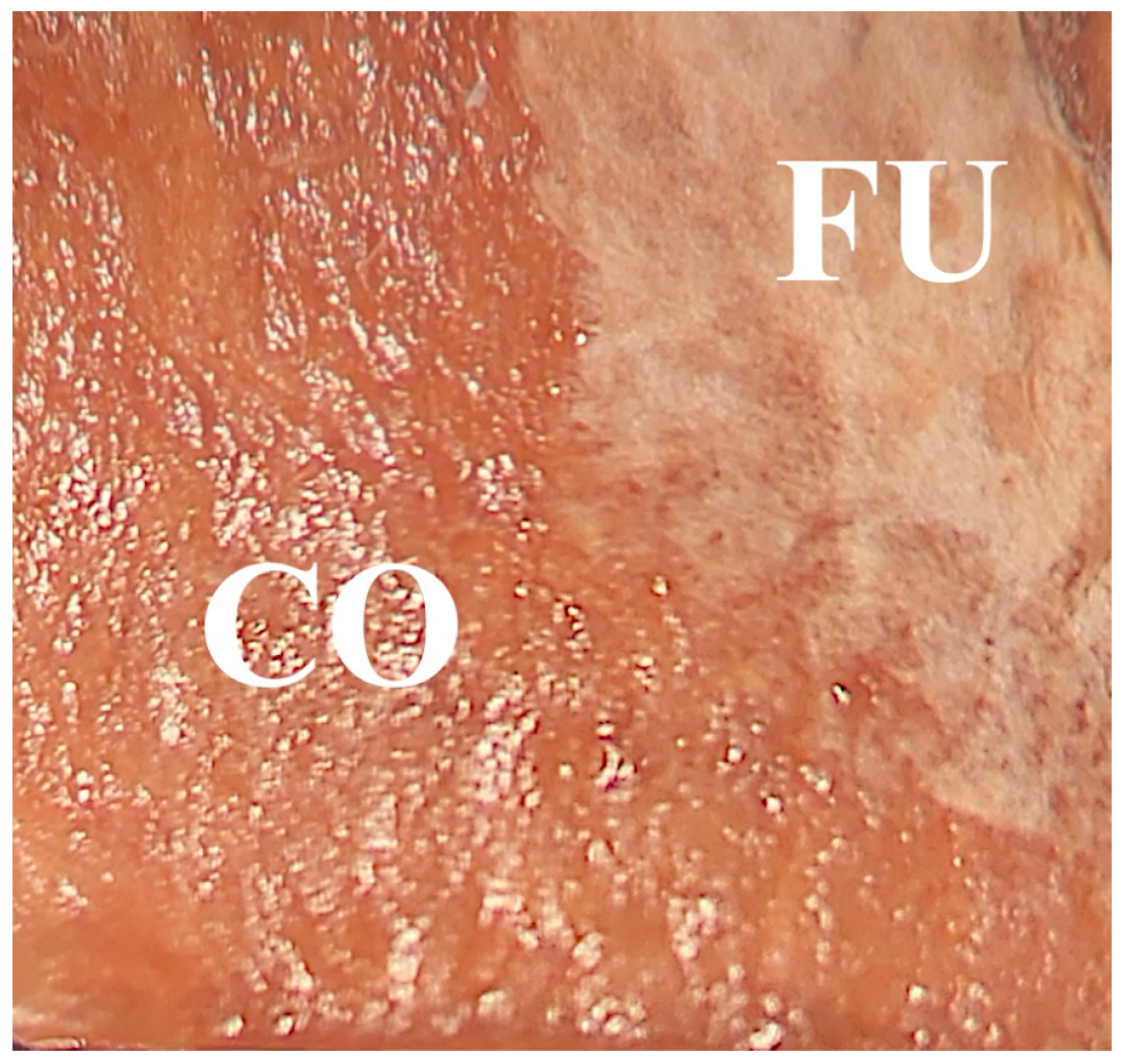 Nanomaterials 13 00442 g008 Nanomaterials 13 00442 g008
