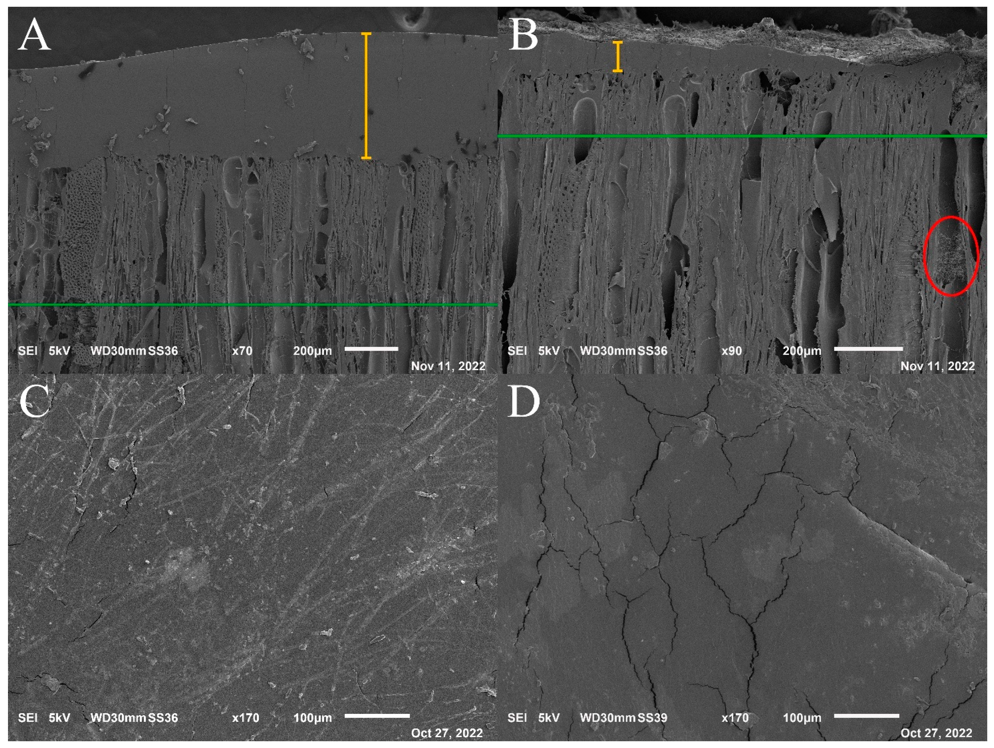 Nanomaterials 13 00442 g010 Nanomaterials 13 00442 g010