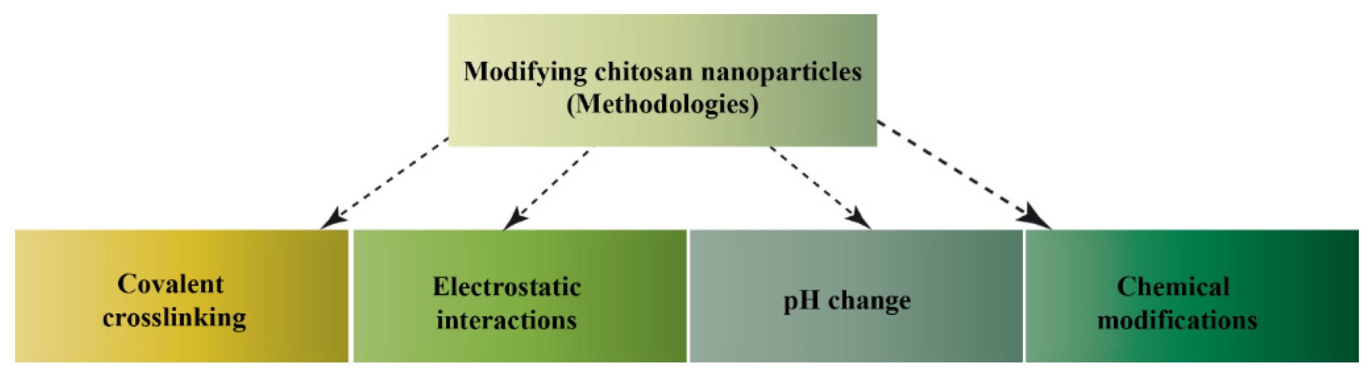 Nanomaterials 13 00447 g003